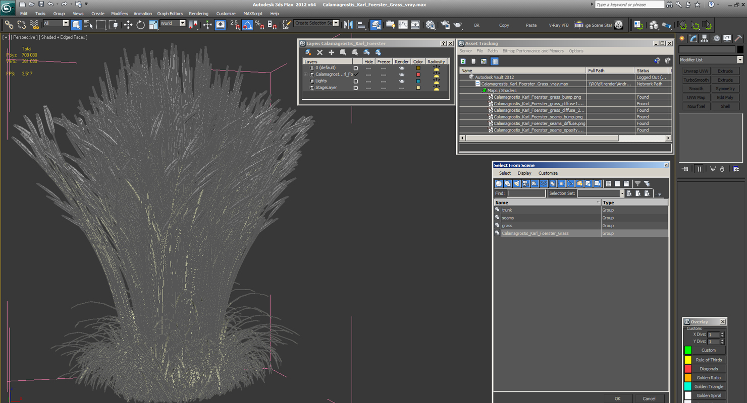 3D Calamagrostis Karl Foerster Grass model