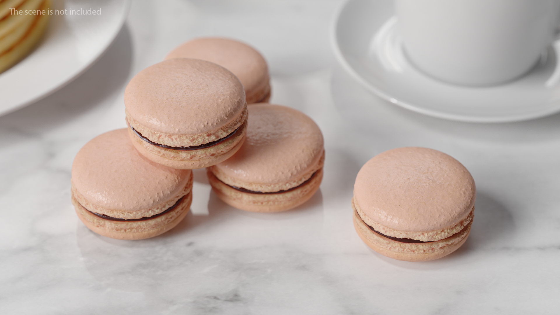 Chocolate Macaron 3D