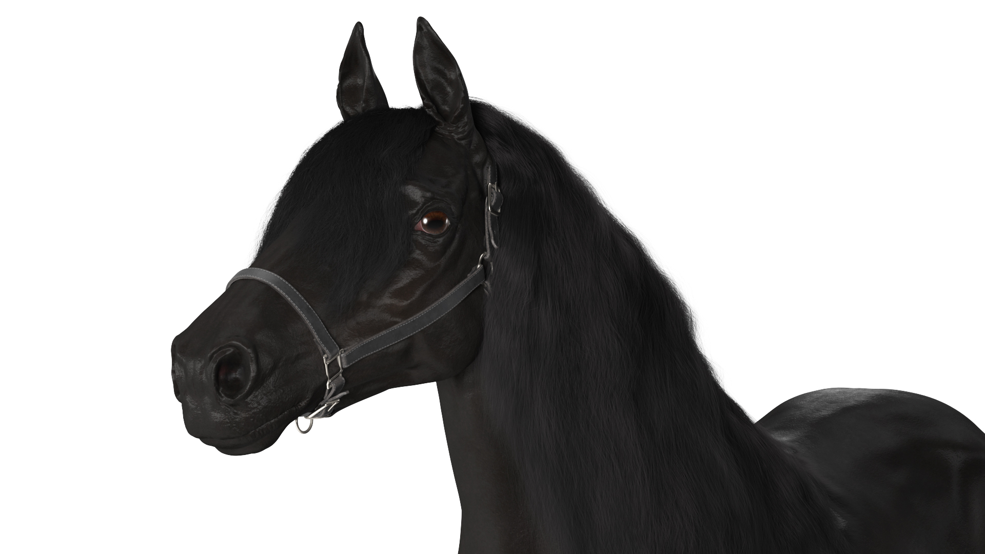 3D model Friesian Horse Fur Rigged