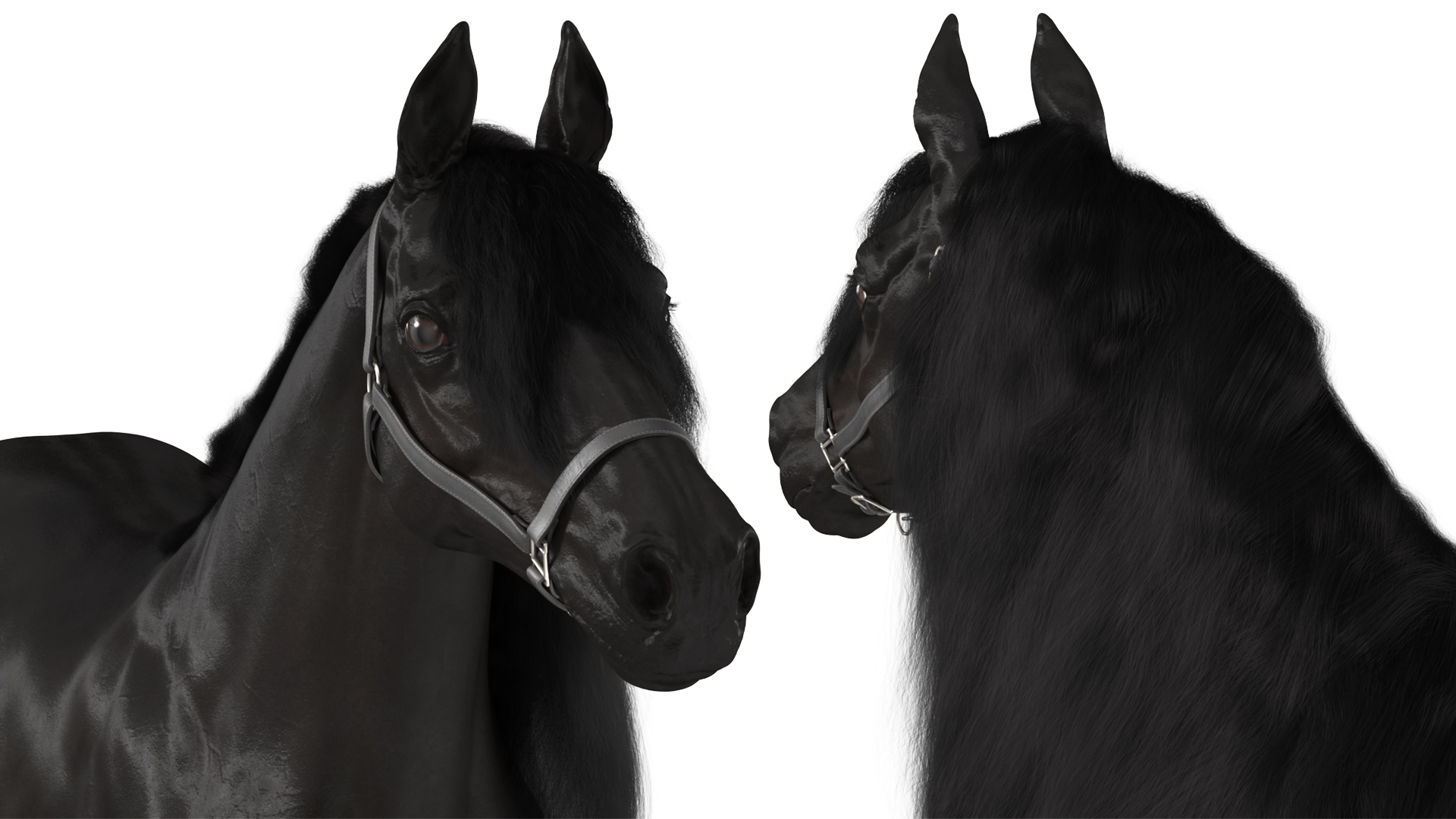 3D model Friesian Horse Fur Rigged