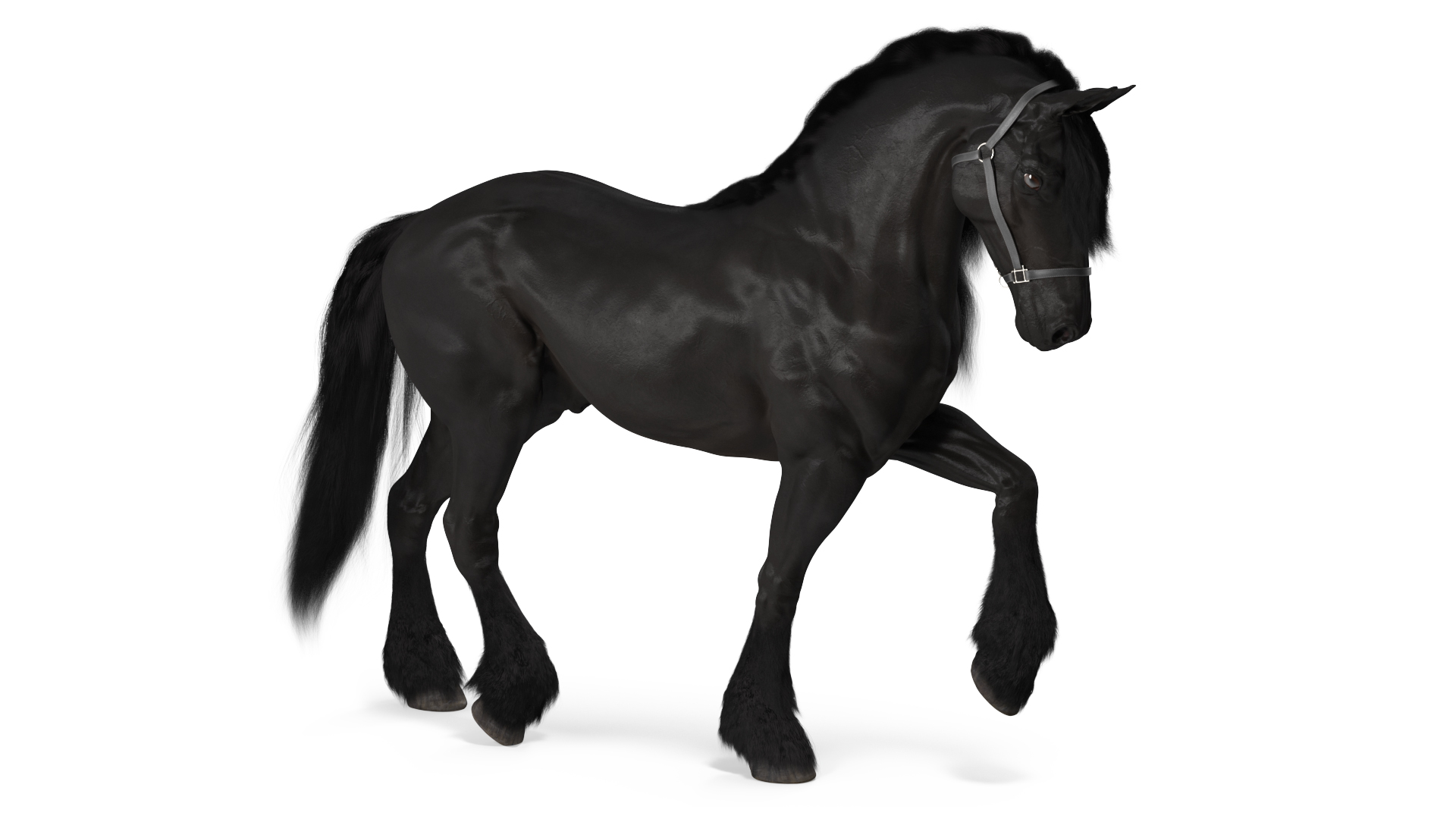 3D model Friesian Horse Fur Rigged