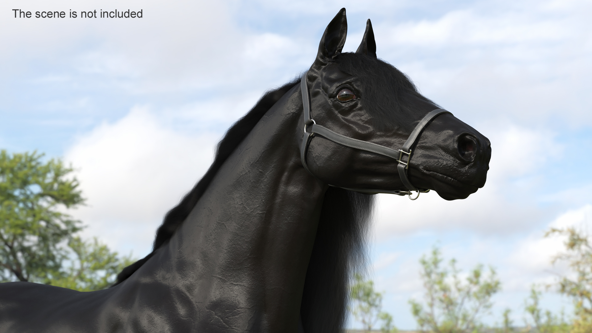 3D model Friesian Horse Fur Rigged