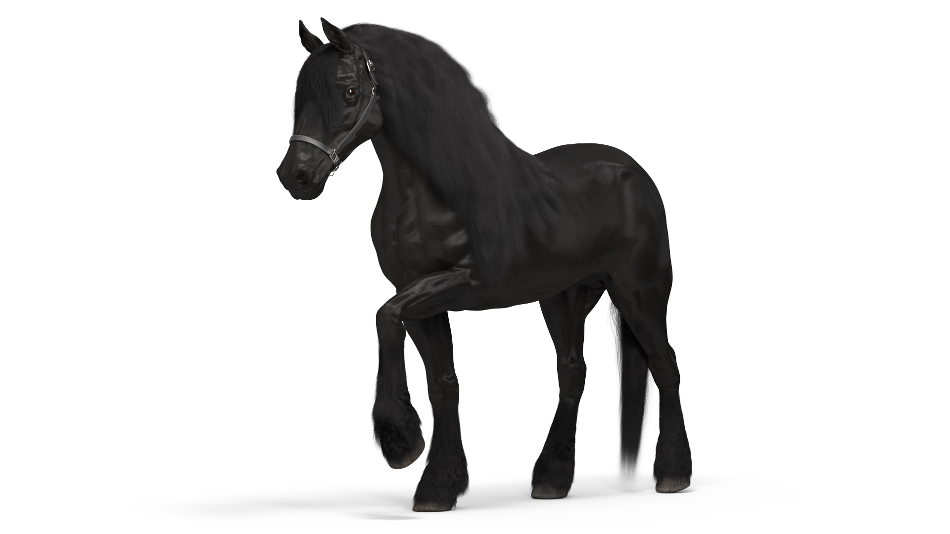 3D model Friesian Horse Fur Rigged