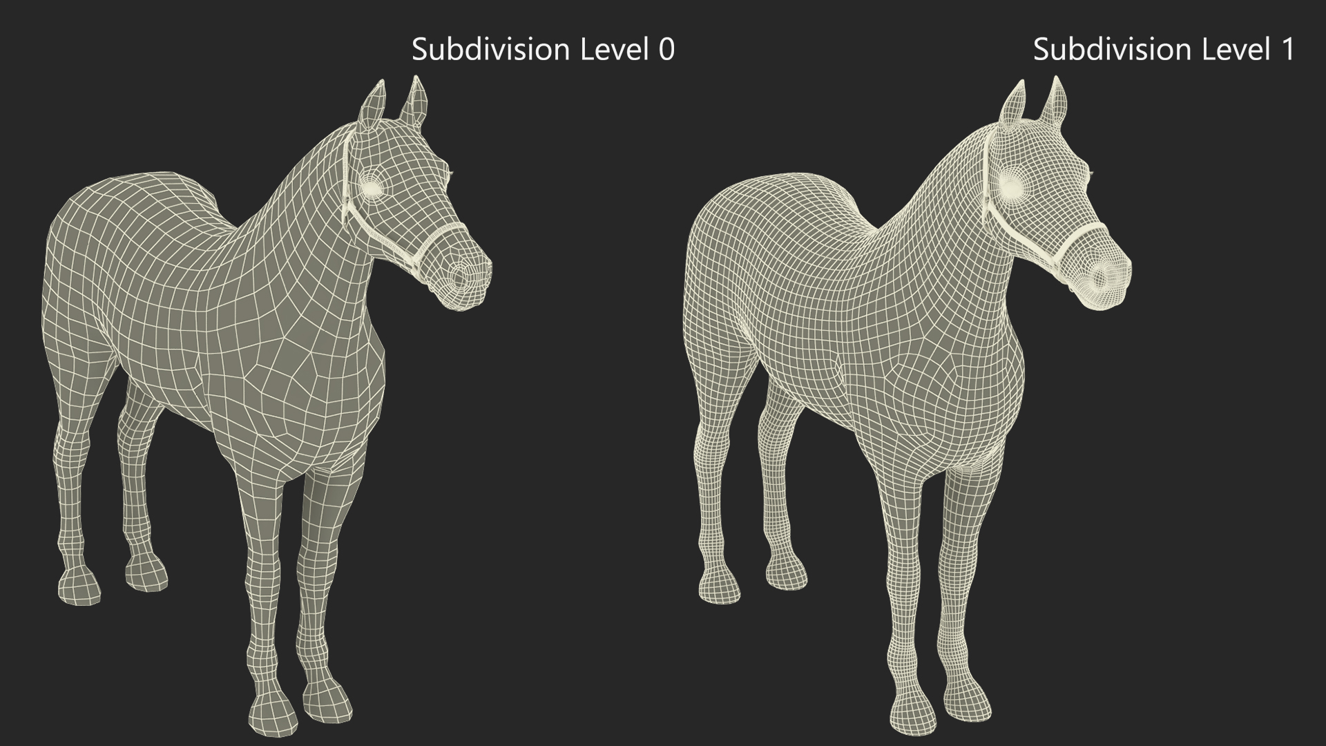 3D model Friesian Horse Fur Rigged