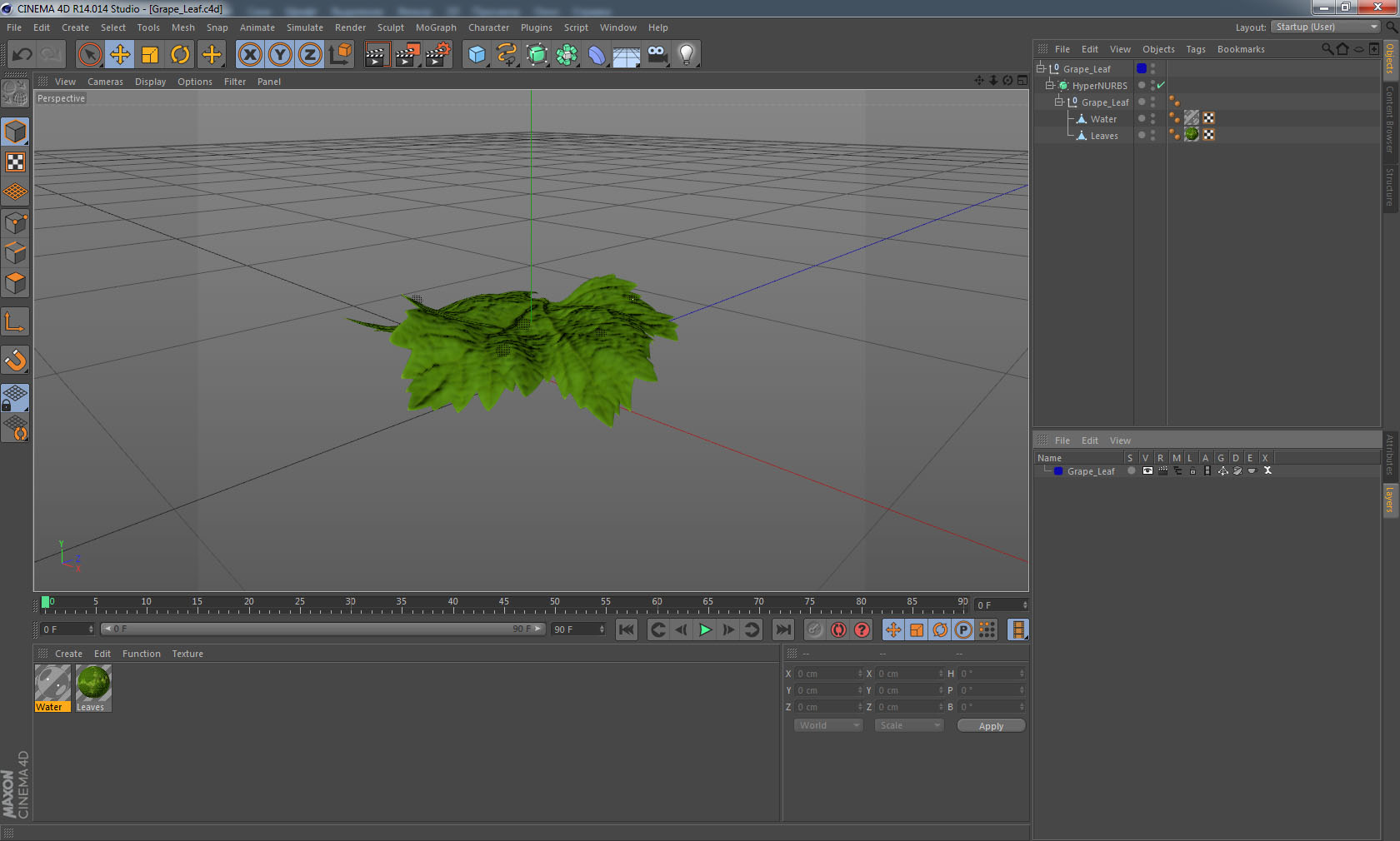 3D model Grape Leaf