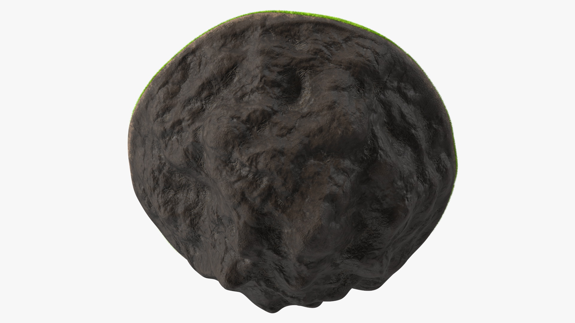 Round Soil Ground Cross Section with Green Grass Fur 3D