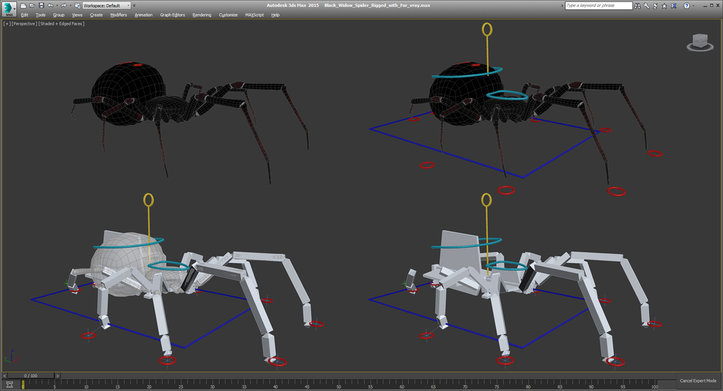 Black Widow Spider Rigged with Fur 3D model