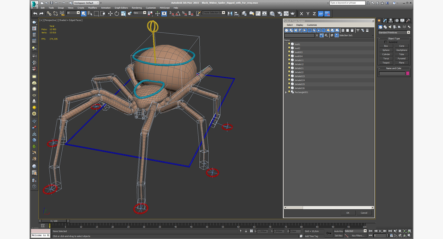 Black Widow Spider Rigged with Fur 3D model