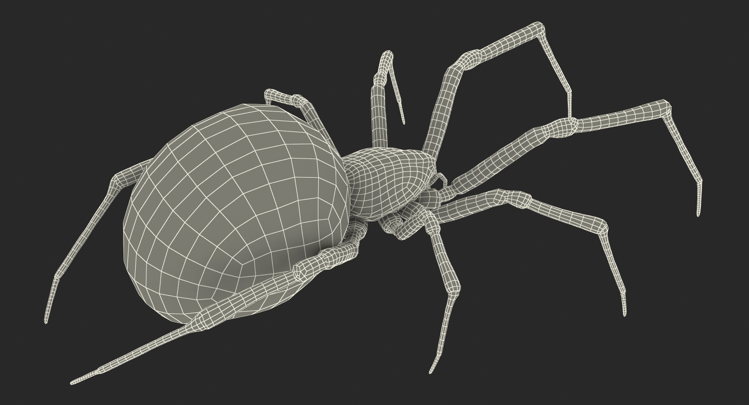 Black Widow Spider Rigged with Fur 3D model