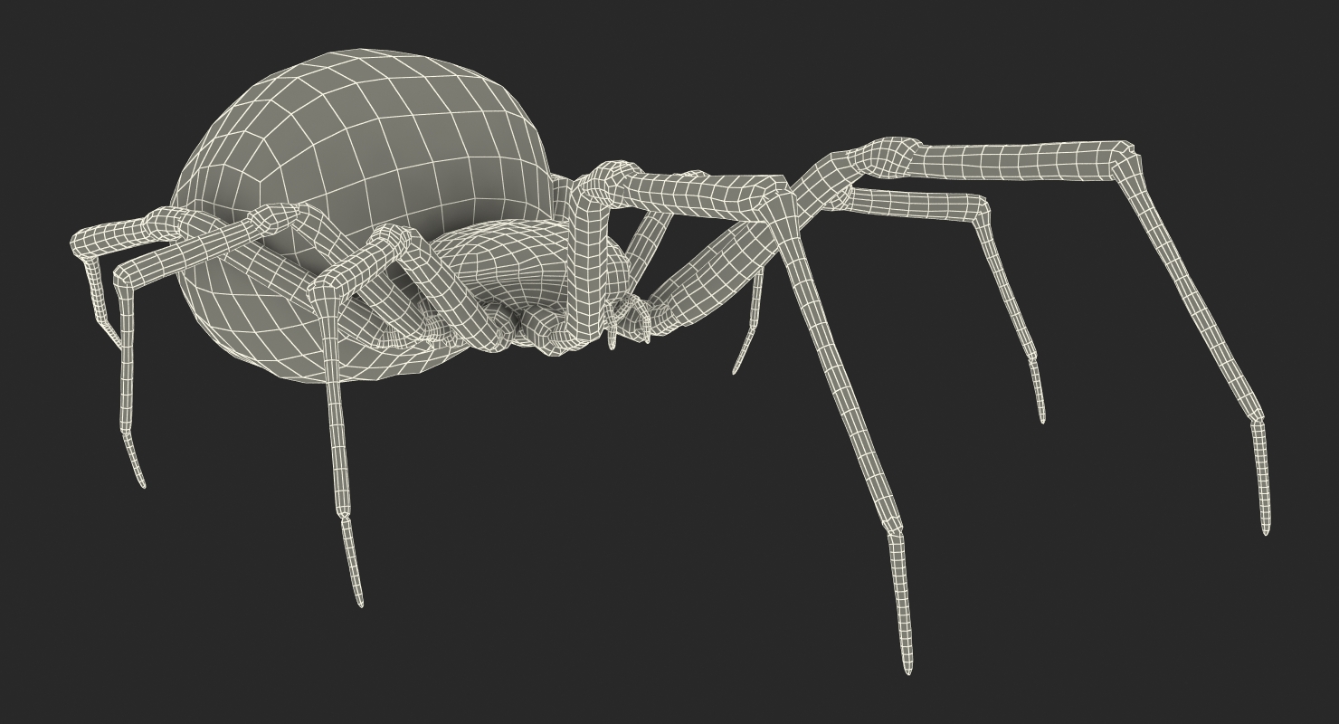 Black Widow Spider Rigged with Fur 3D model