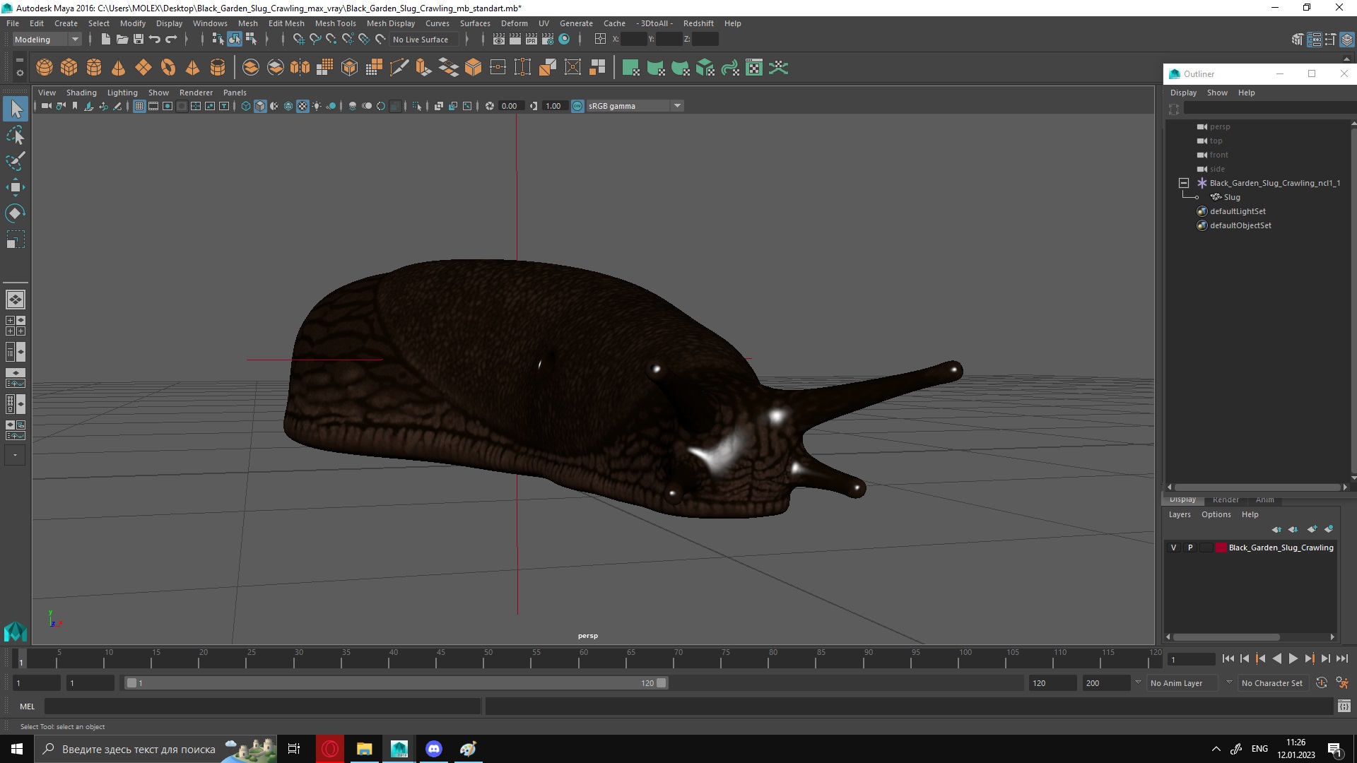 3D Black Garden Slug Crawling