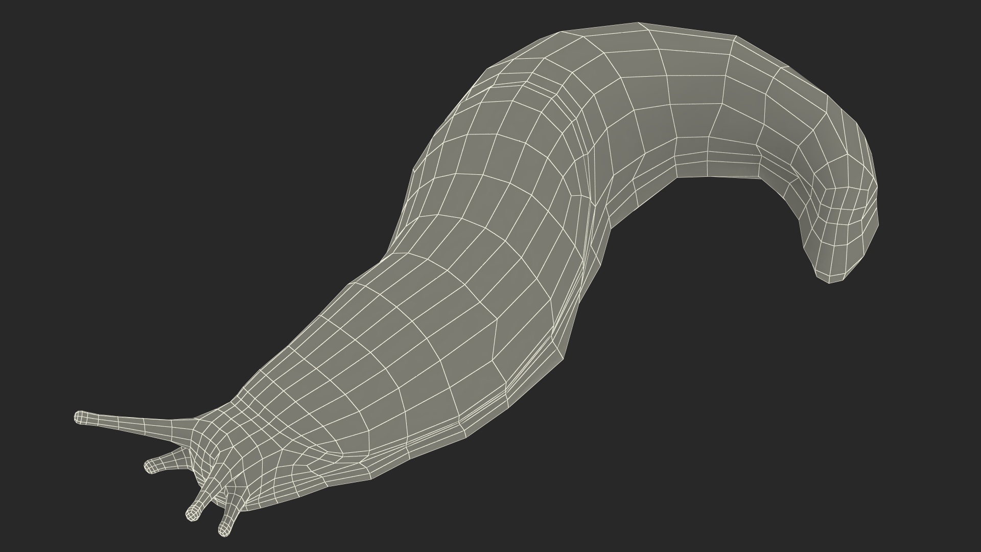 3D Black Garden Slug Crawling