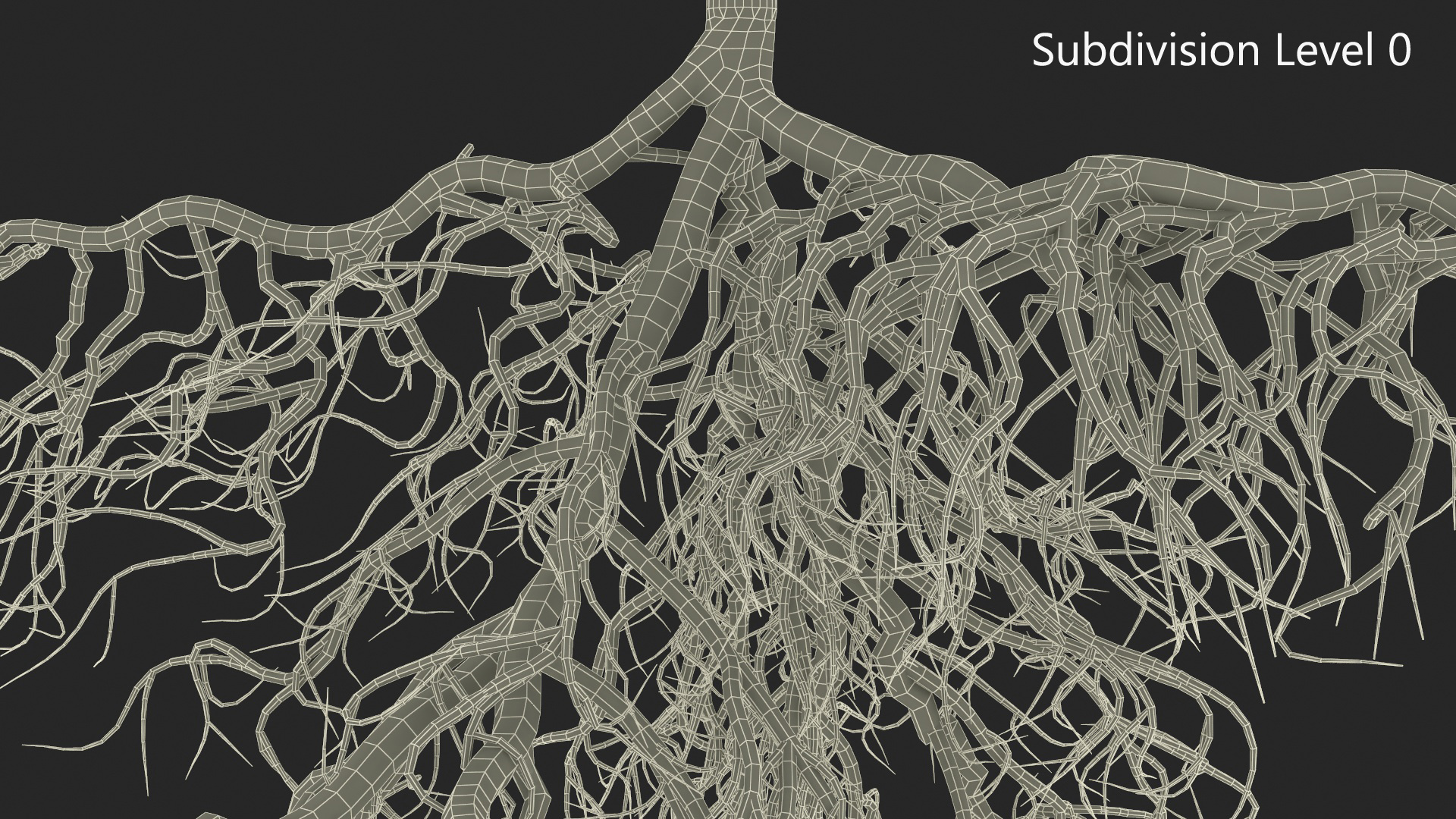 Poplar Tree with Roots 3D