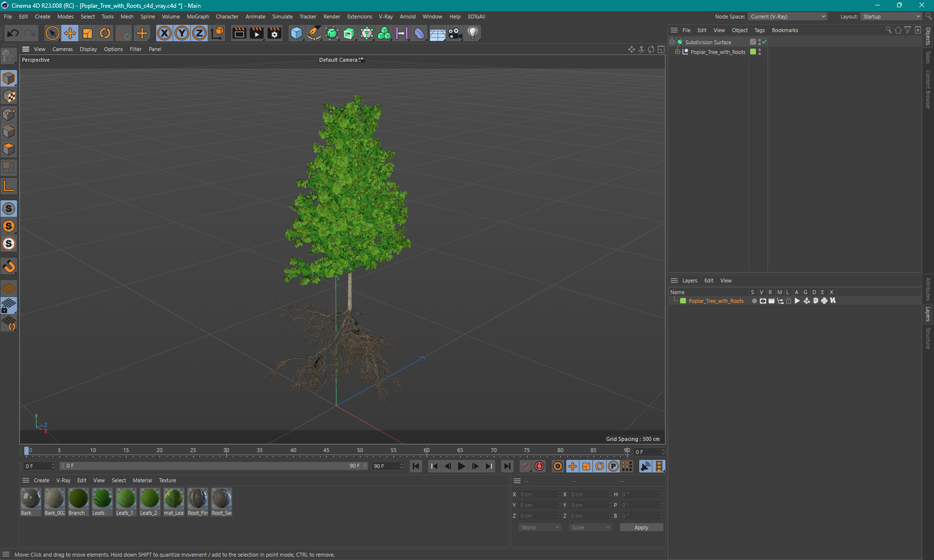 Poplar Tree with Roots 3D