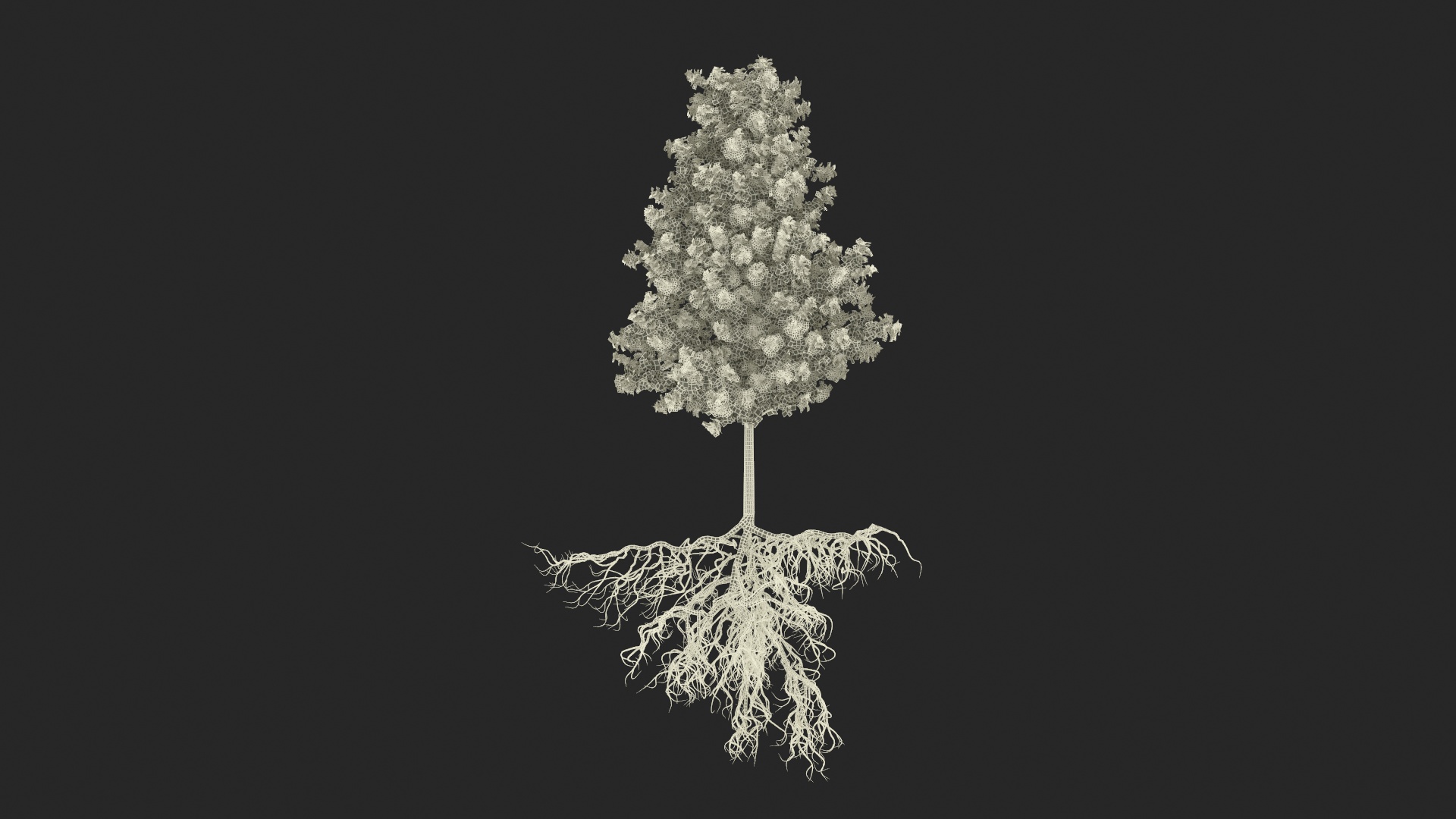 Poplar Tree with Roots 3D