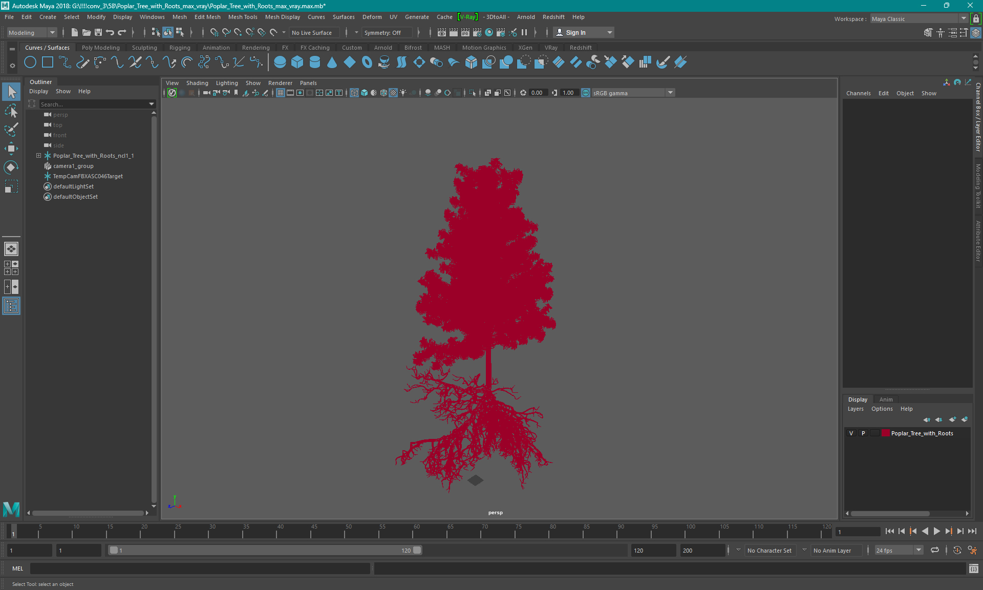 Poplar Tree with Roots 3D