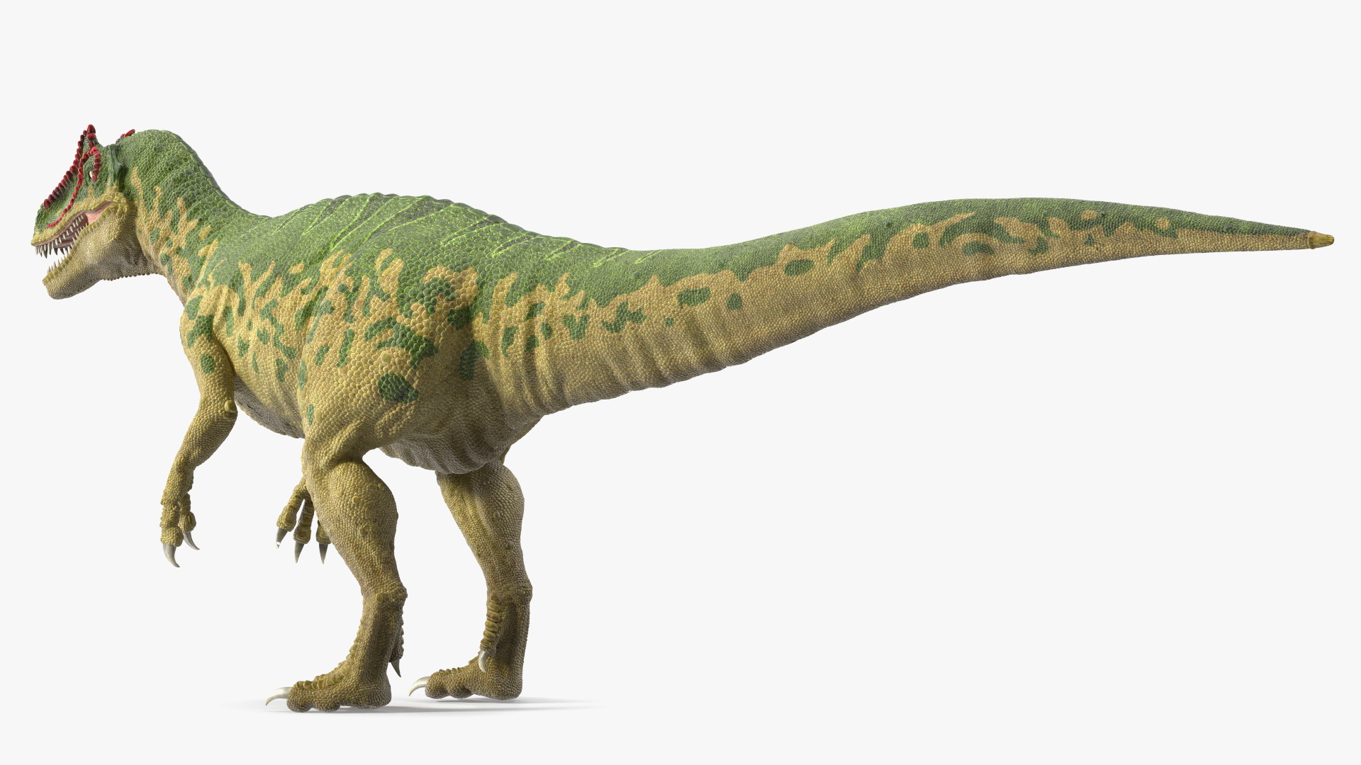 Allosaurus Green Coloring Rigged 3D