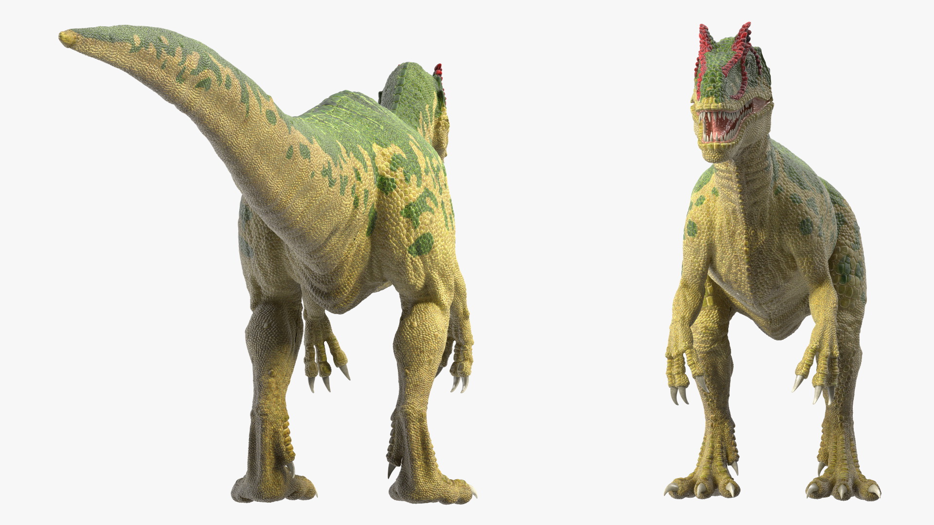 Allosaurus Green Coloring Rigged 3D