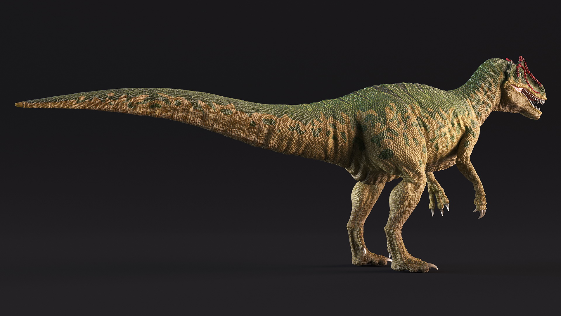 Allosaurus Green Coloring Rigged 3D