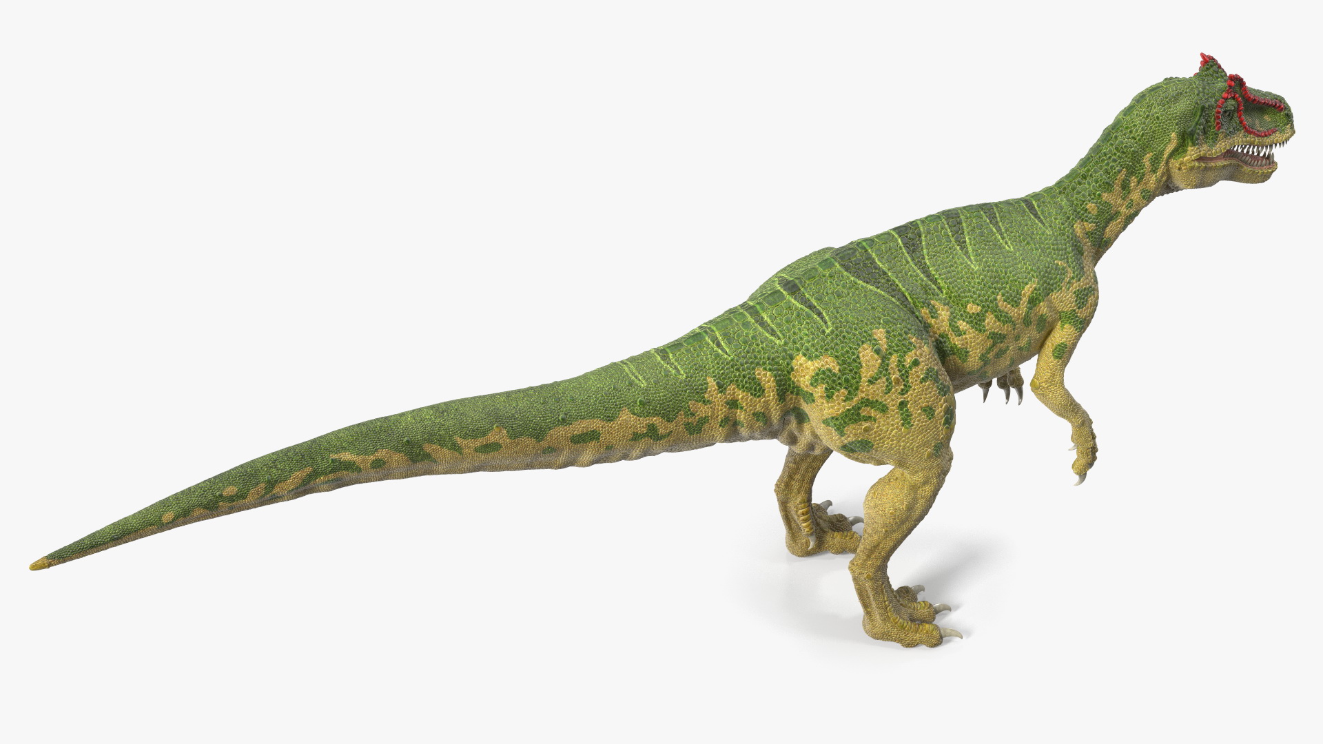 Allosaurus Green Coloring Rigged 3D