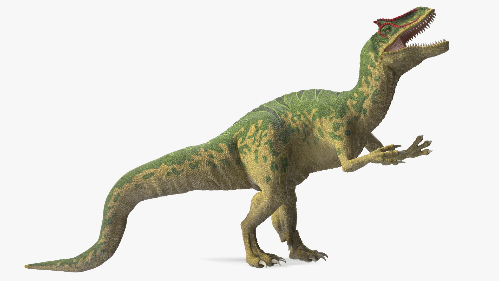 Allosaurus Green Coloring Rigged 3D