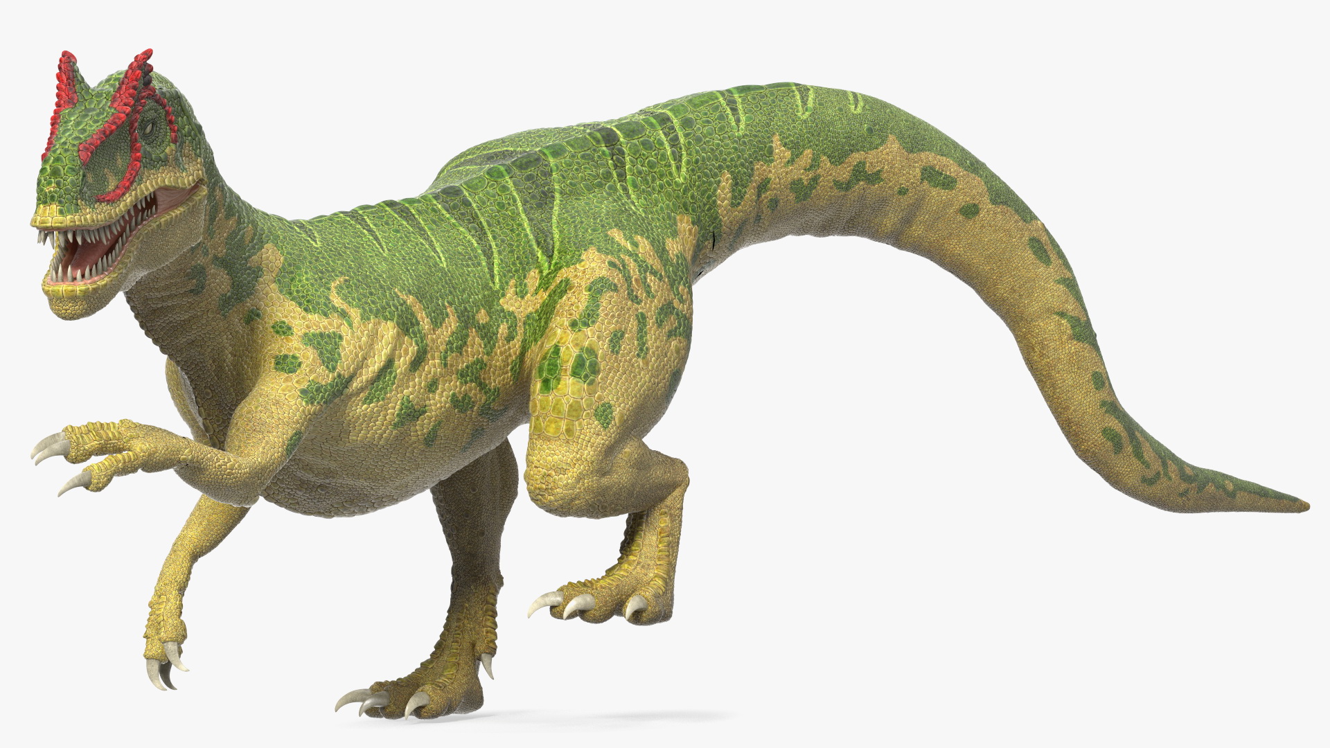 Allosaurus Green Coloring Rigged 3D