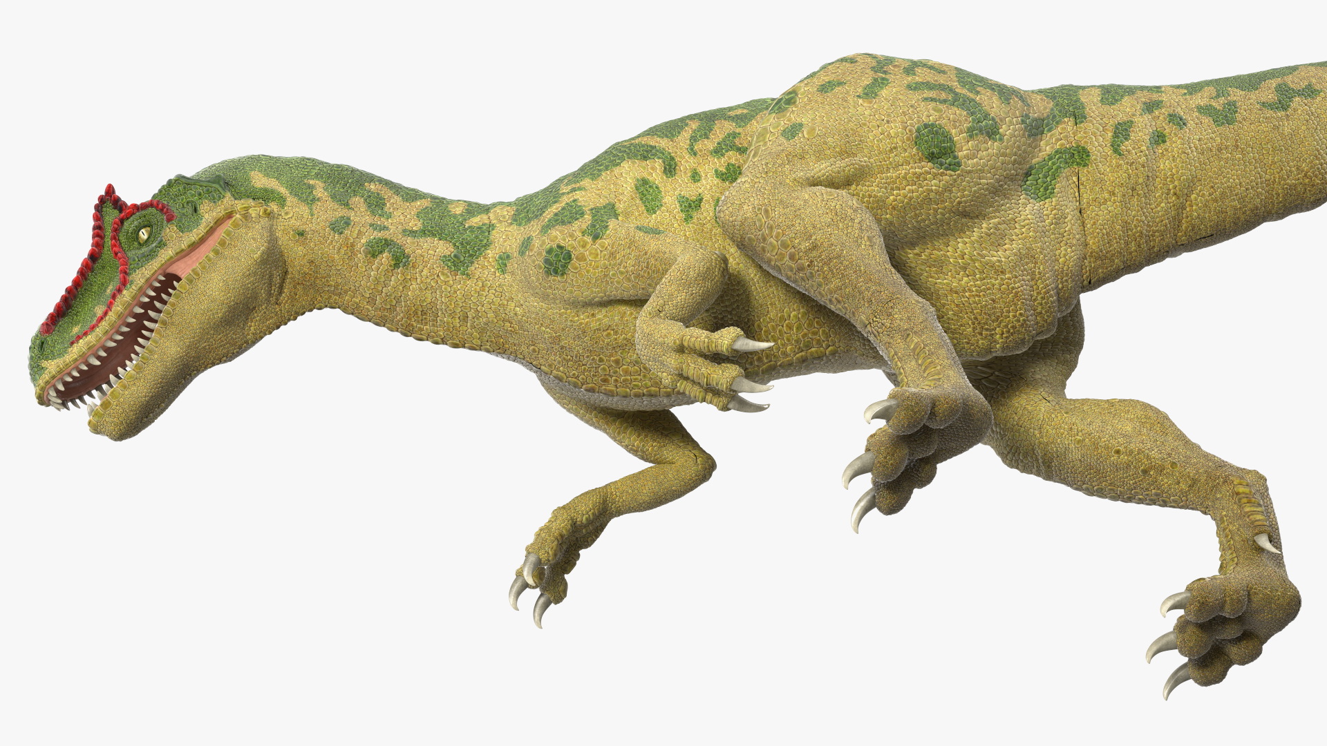 Allosaurus Green Coloring Rigged 3D