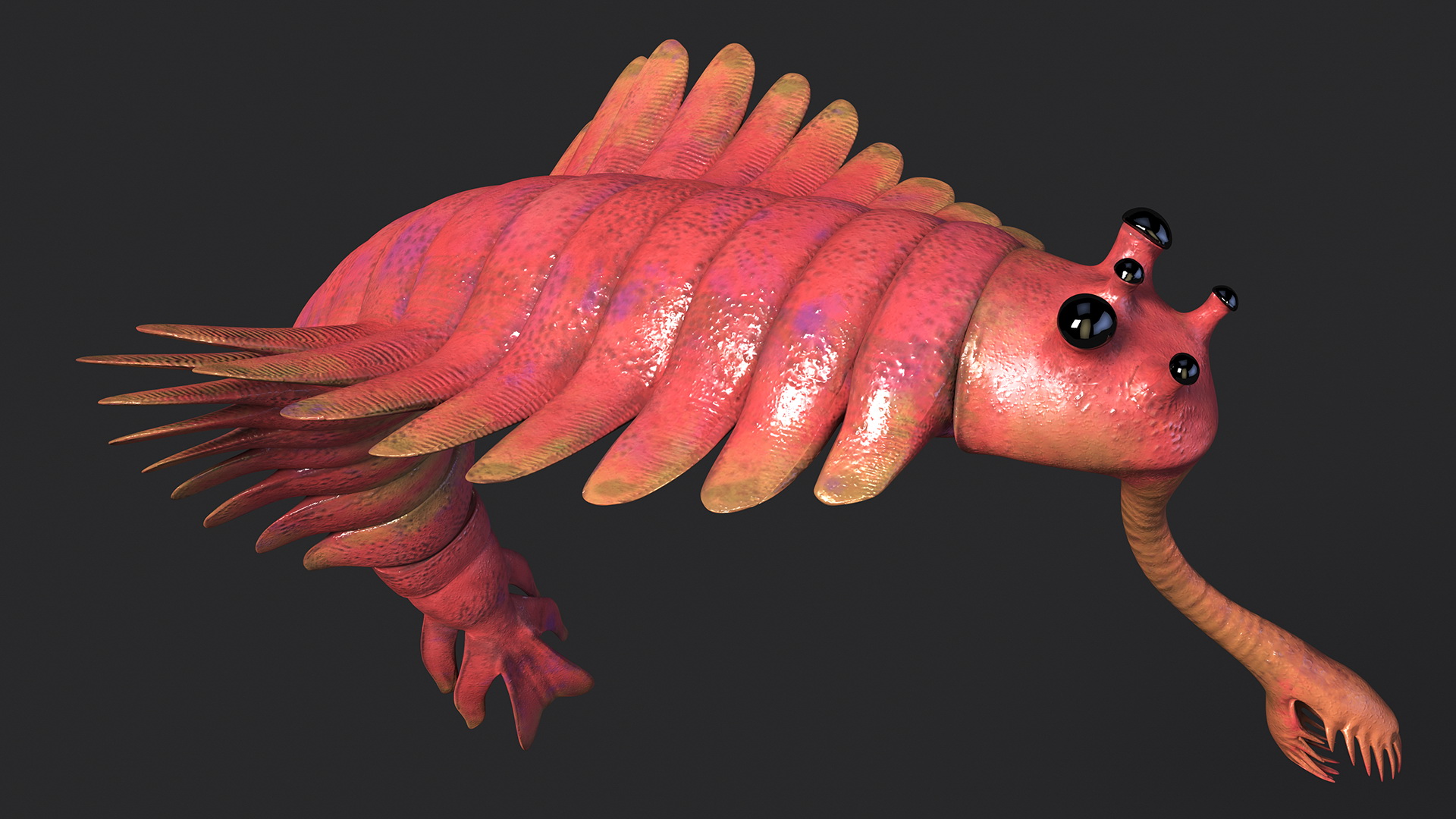 3D Pink Opabinia Flip model