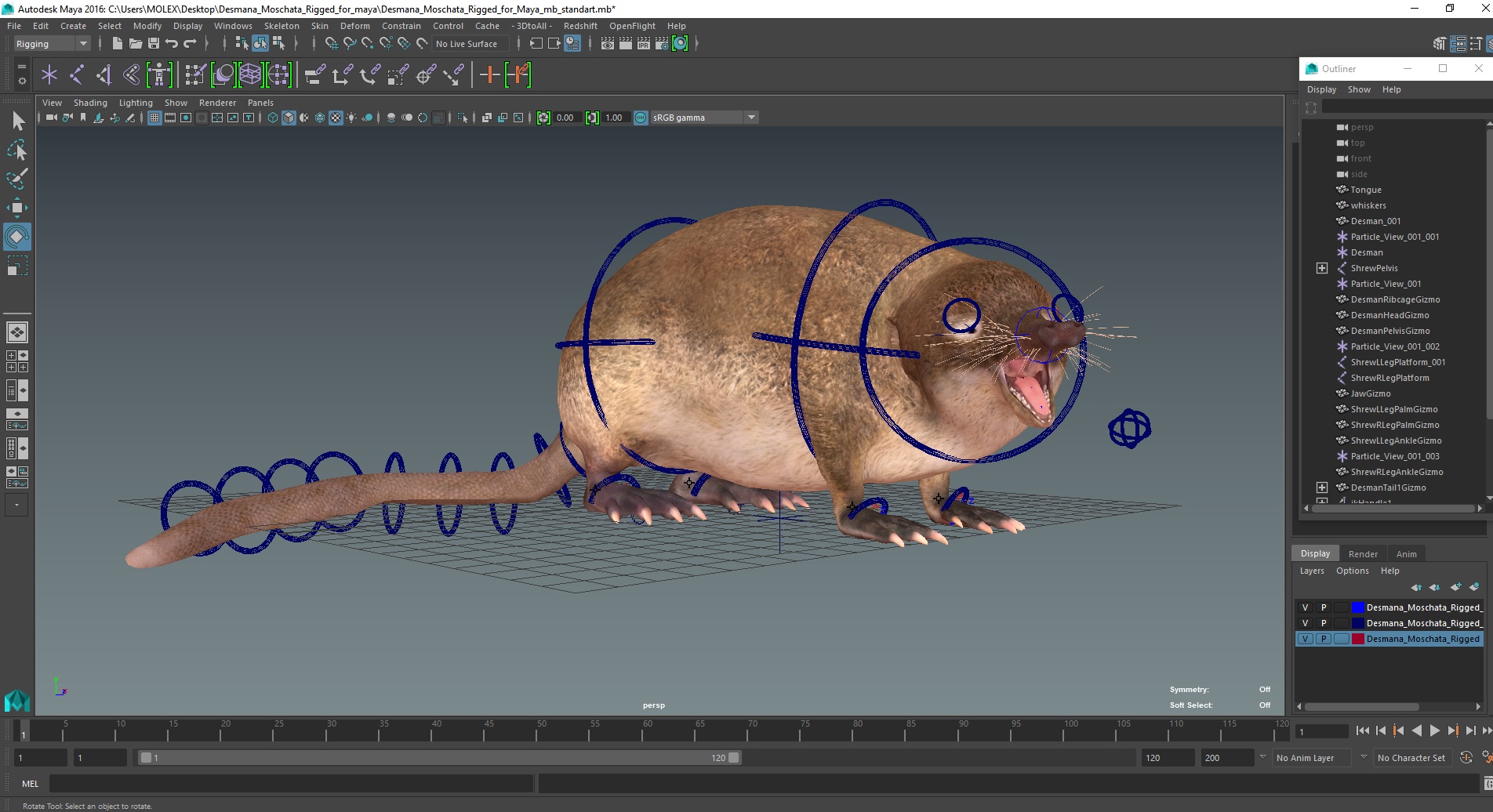 Desmana Moschata Rigged for Maya 3D