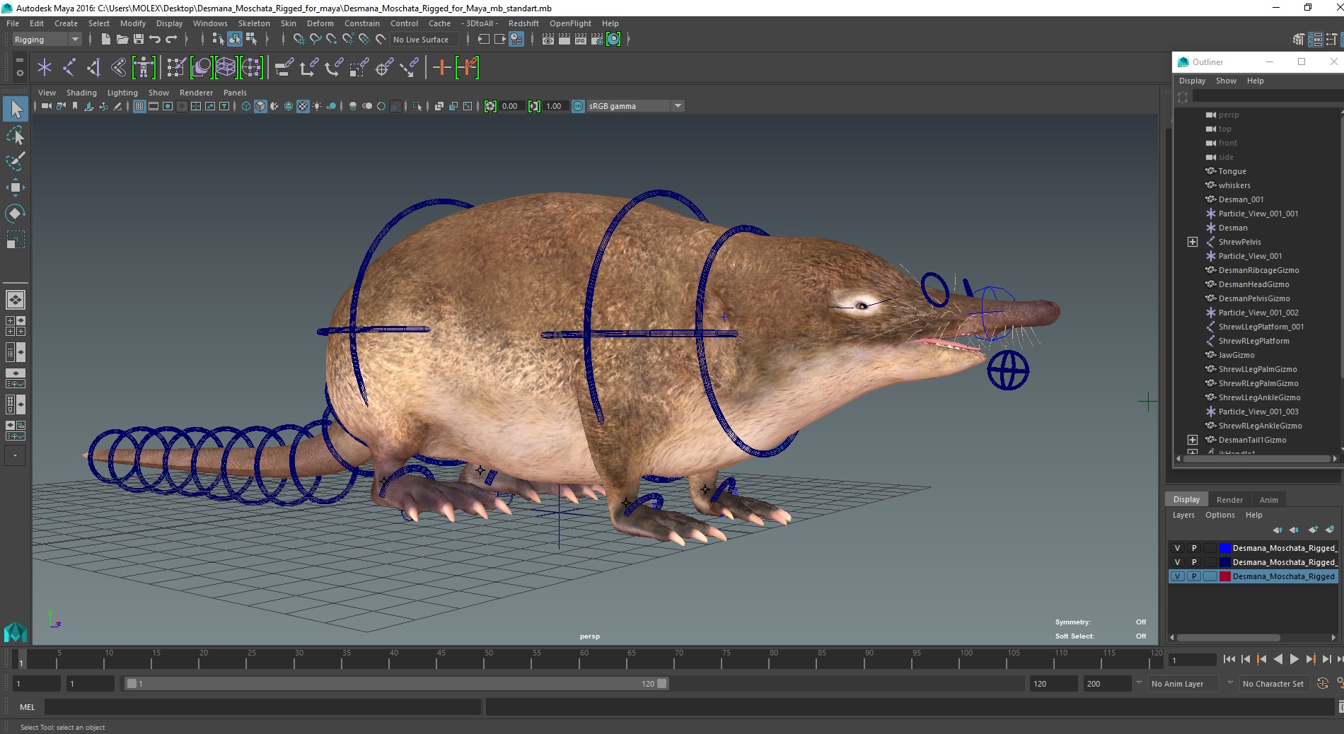 Desmana Moschata Rigged for Maya 3D