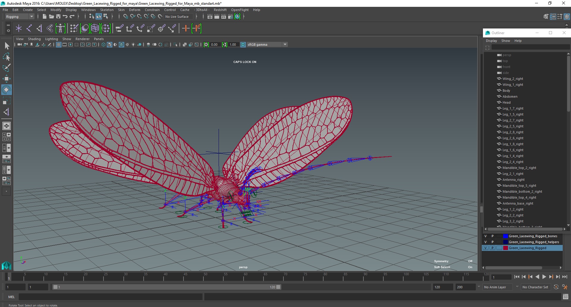 3D model Green Lacewing Rigged for Maya