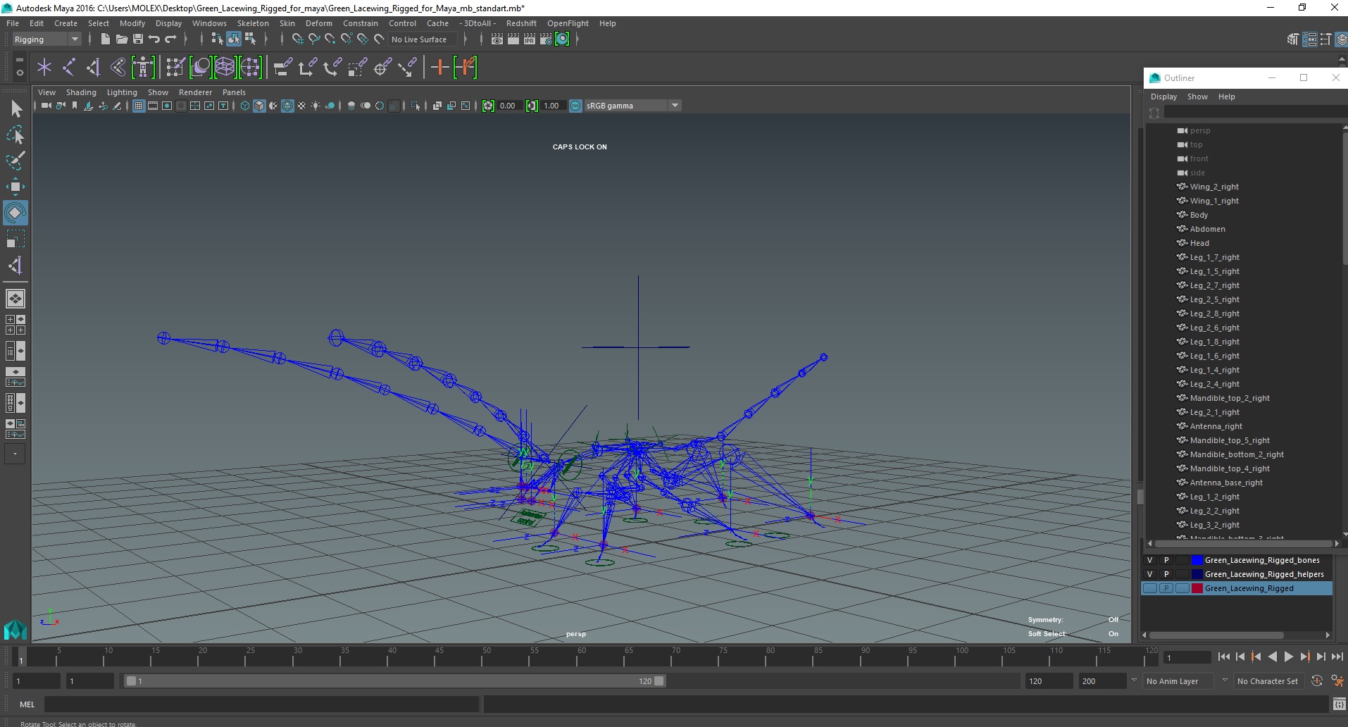 3D model Green Lacewing Rigged for Maya