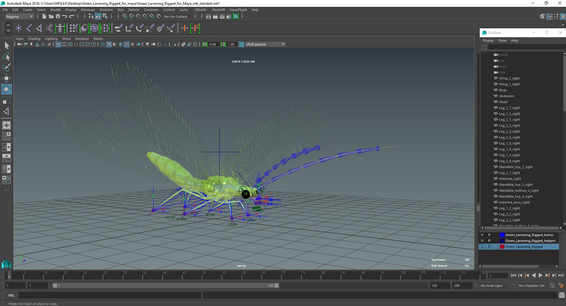 3D model Green Lacewing Rigged for Maya