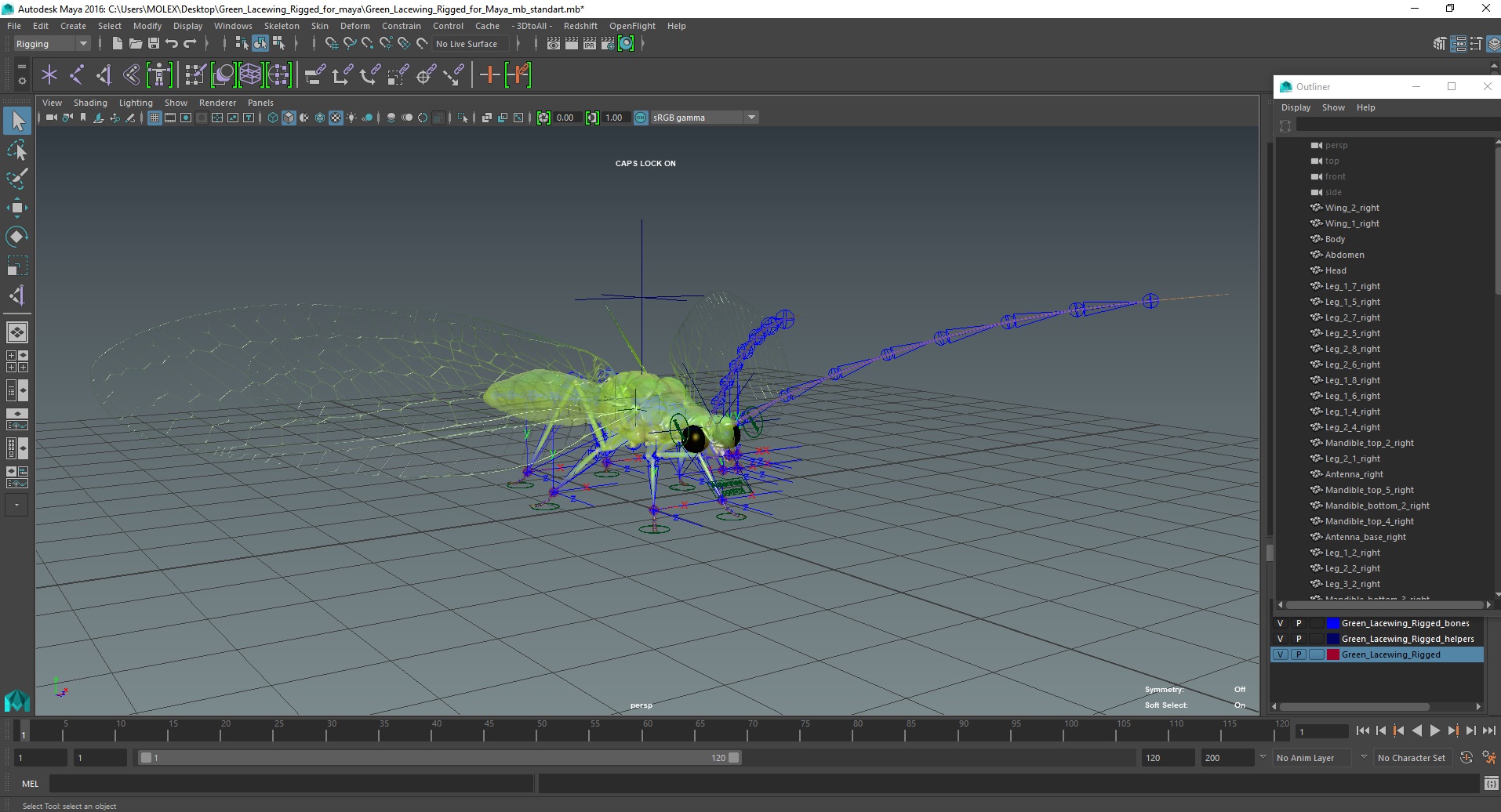 3D model Green Lacewing Rigged for Maya