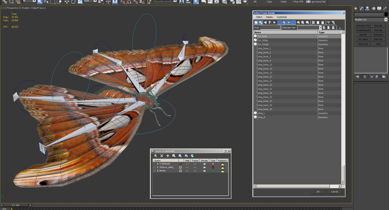 3D model Attacus Atlas Large Saturniid Moth with Fur Rigged