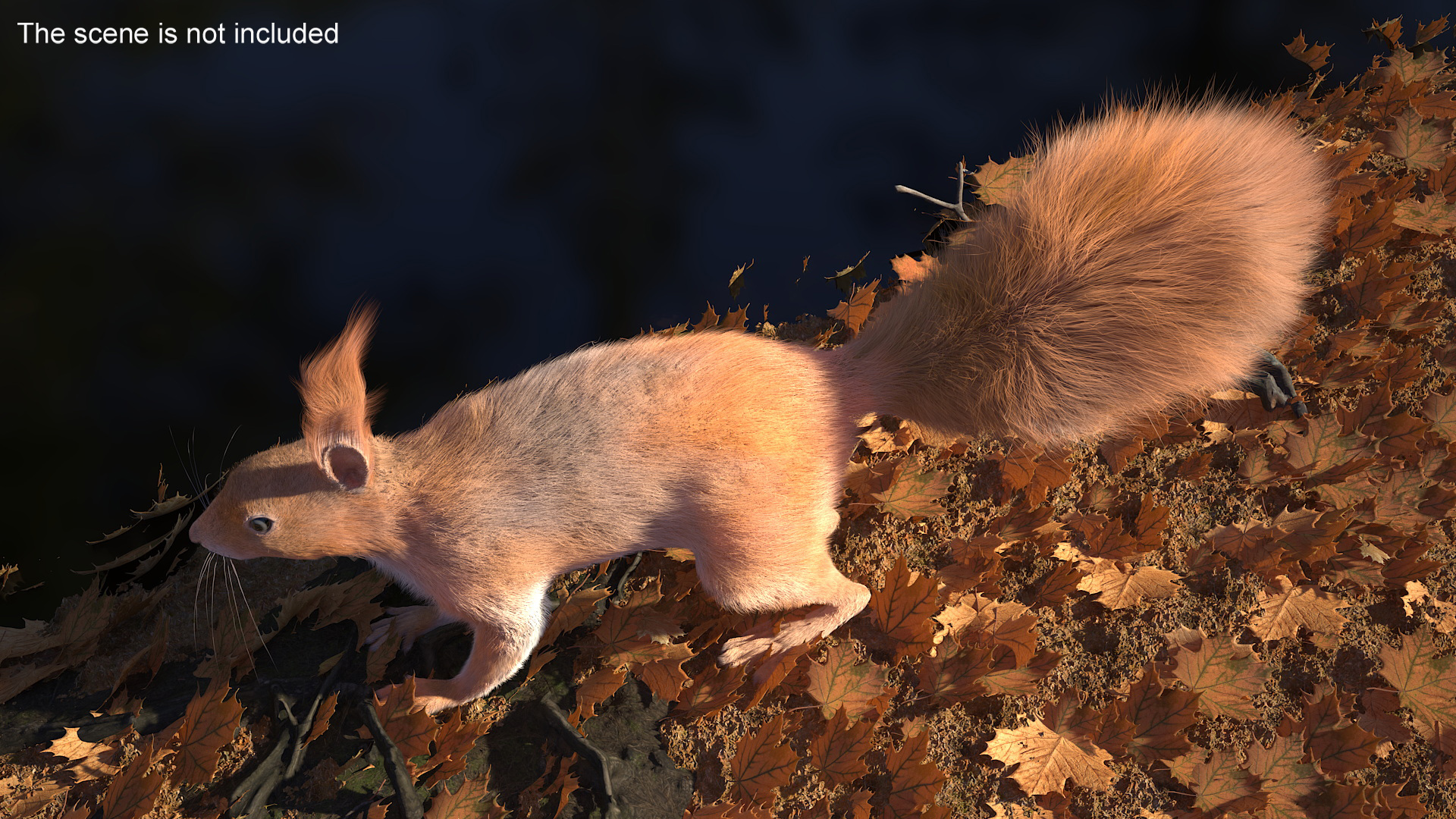 3D Red Squirrel Fur