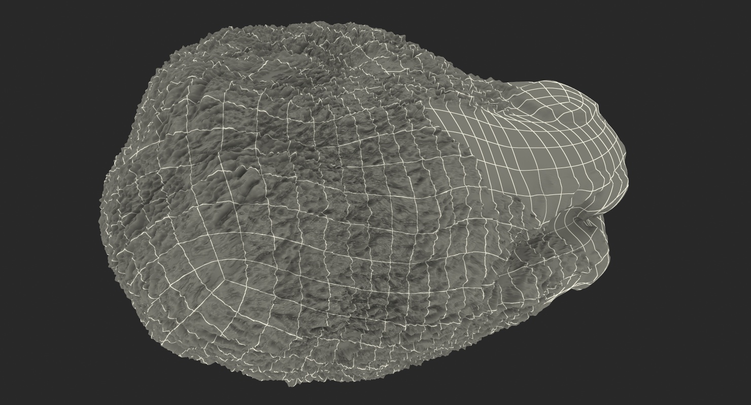 3D model Green Pistachio Seed