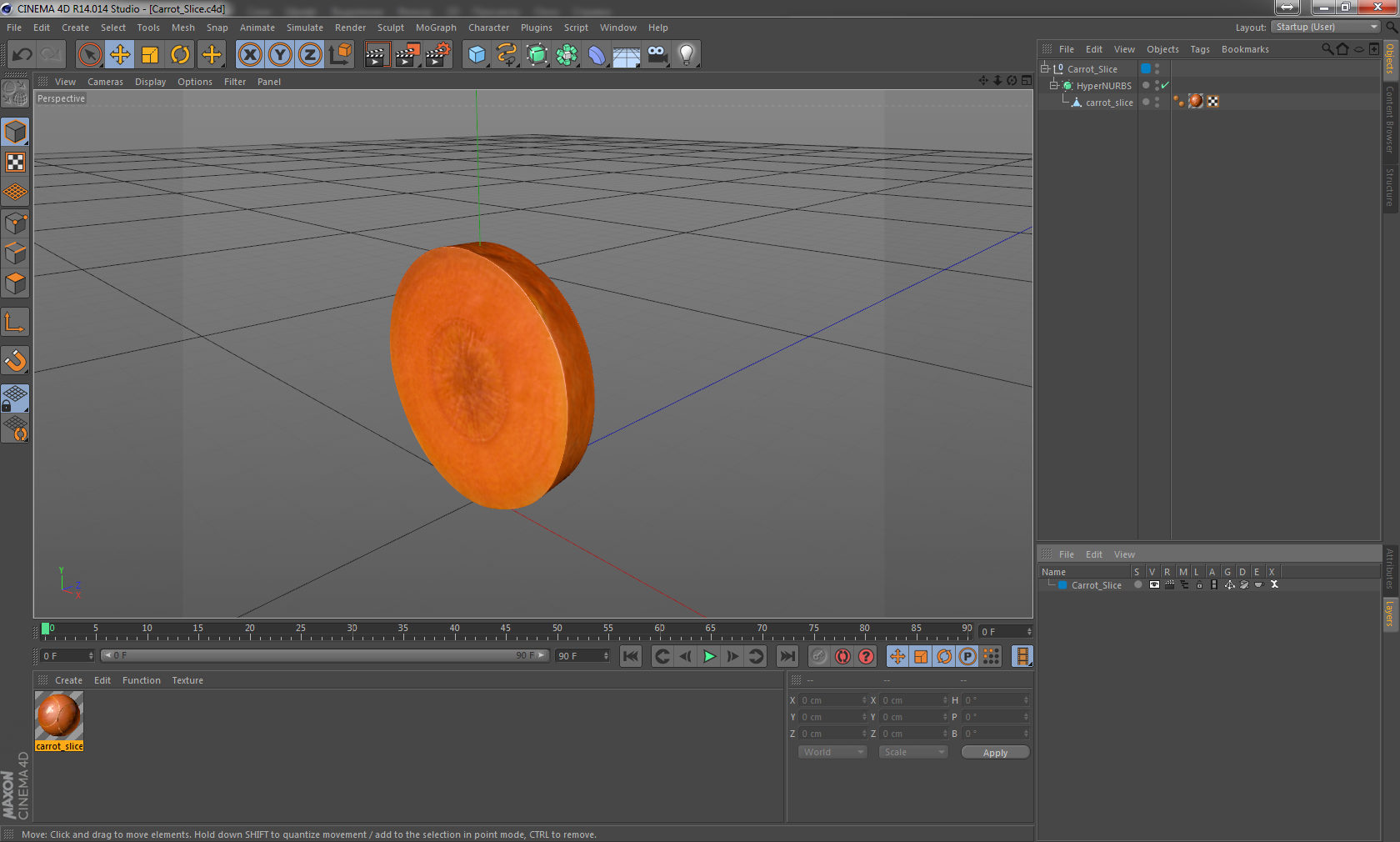 Carrot Slice 3D