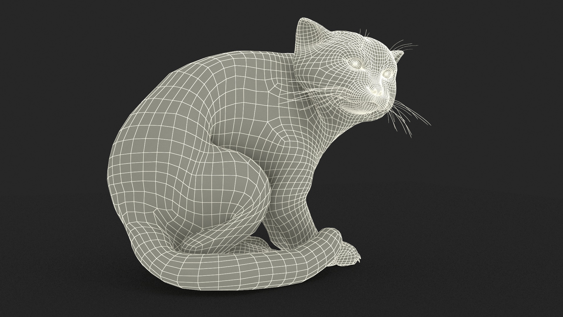 3D model Manul Cat in Sitting