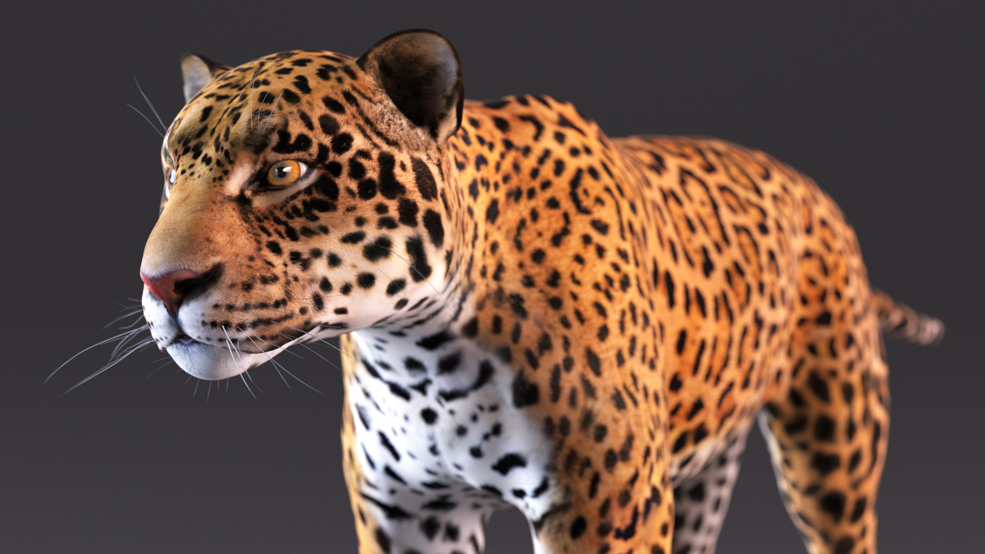 3D model Jaguar