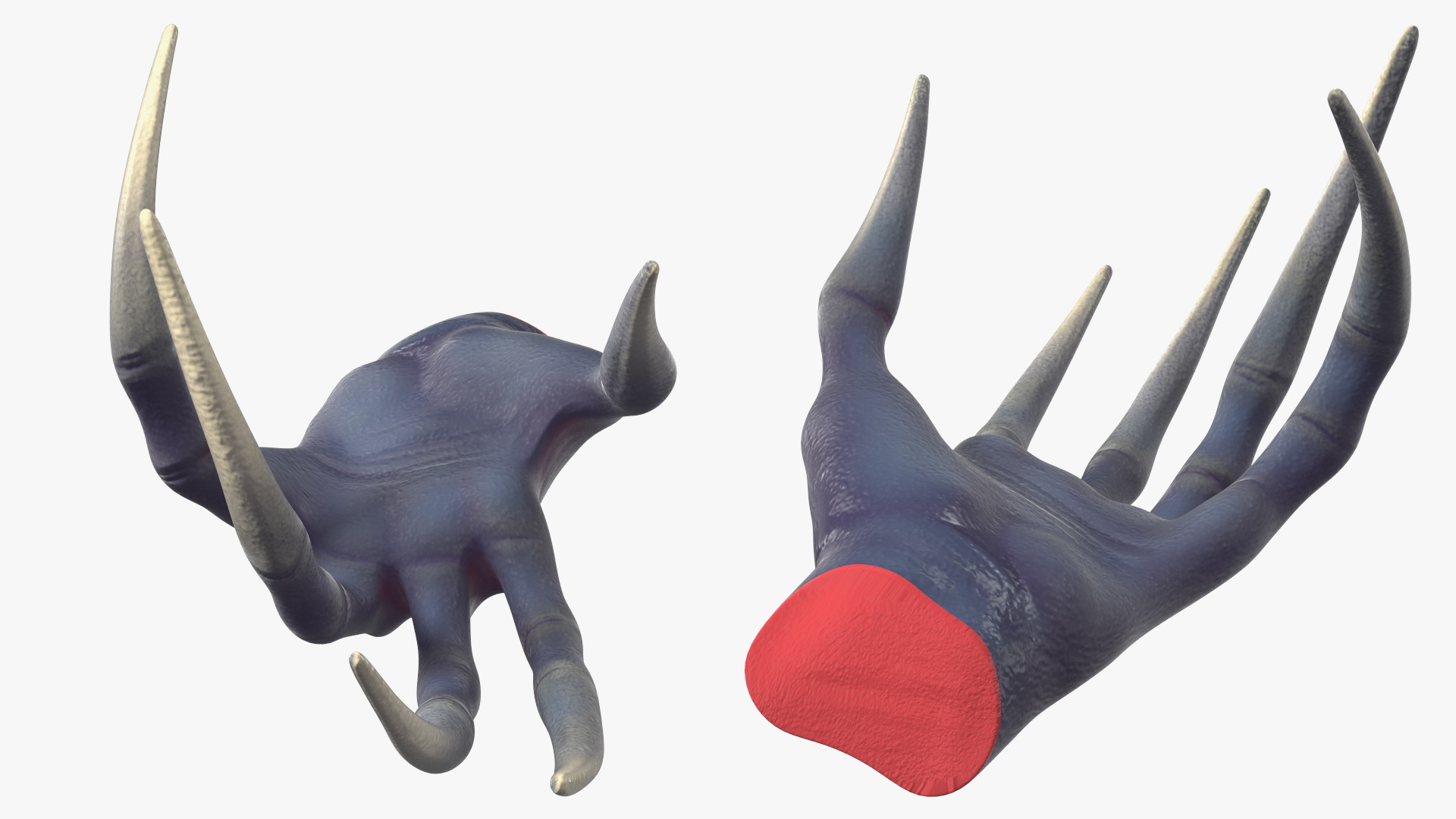 3D model Scary Creature Wrist