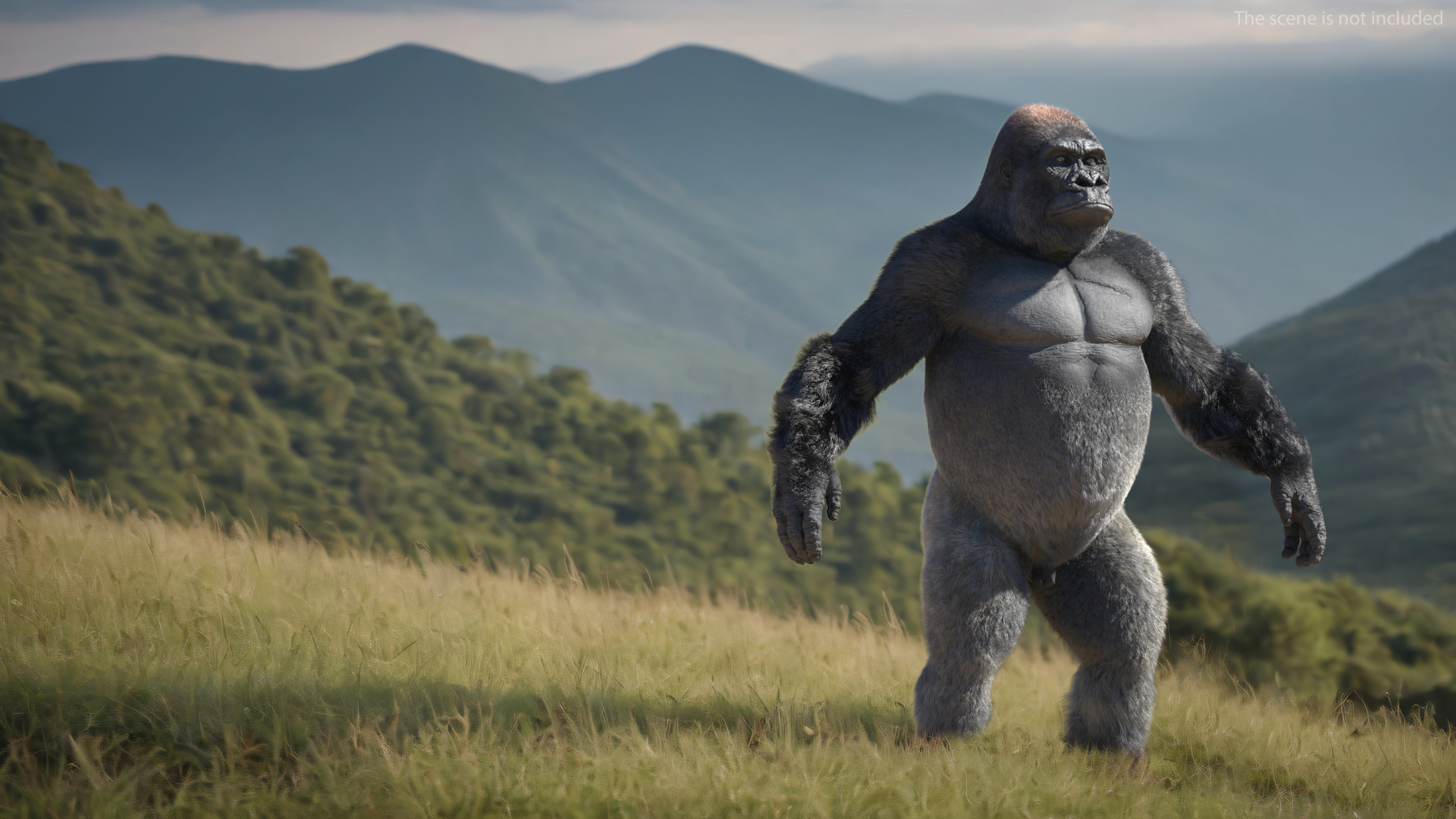 3D model Roaring Gorilla Fur Animated Rigged