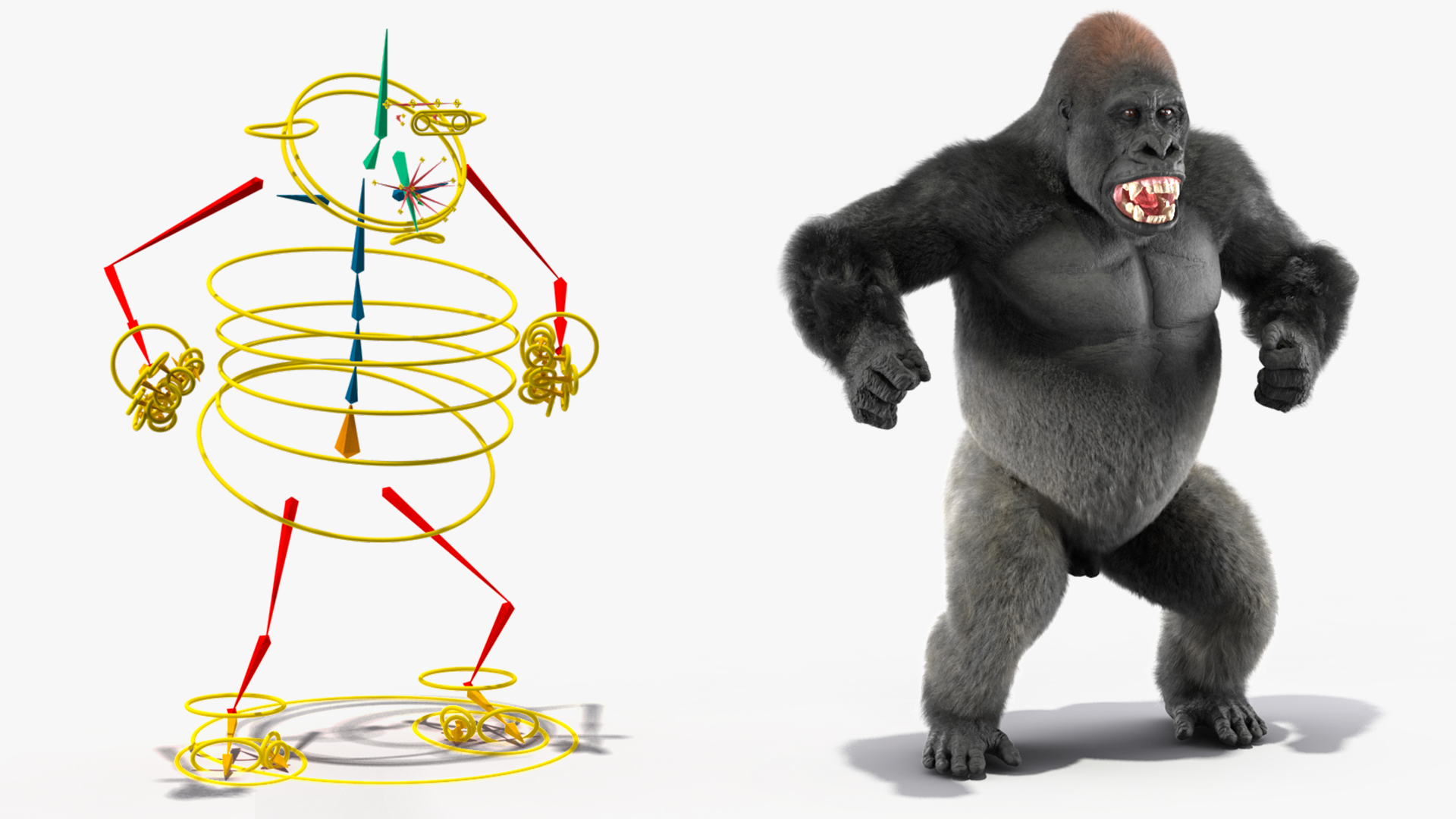 3D model Roaring Gorilla Fur Animated Rigged