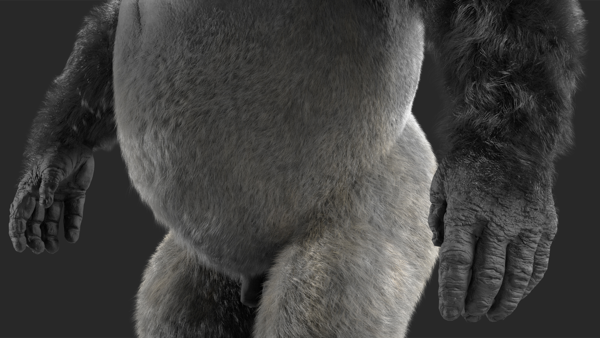 3D model Roaring Gorilla Fur Animated Rigged