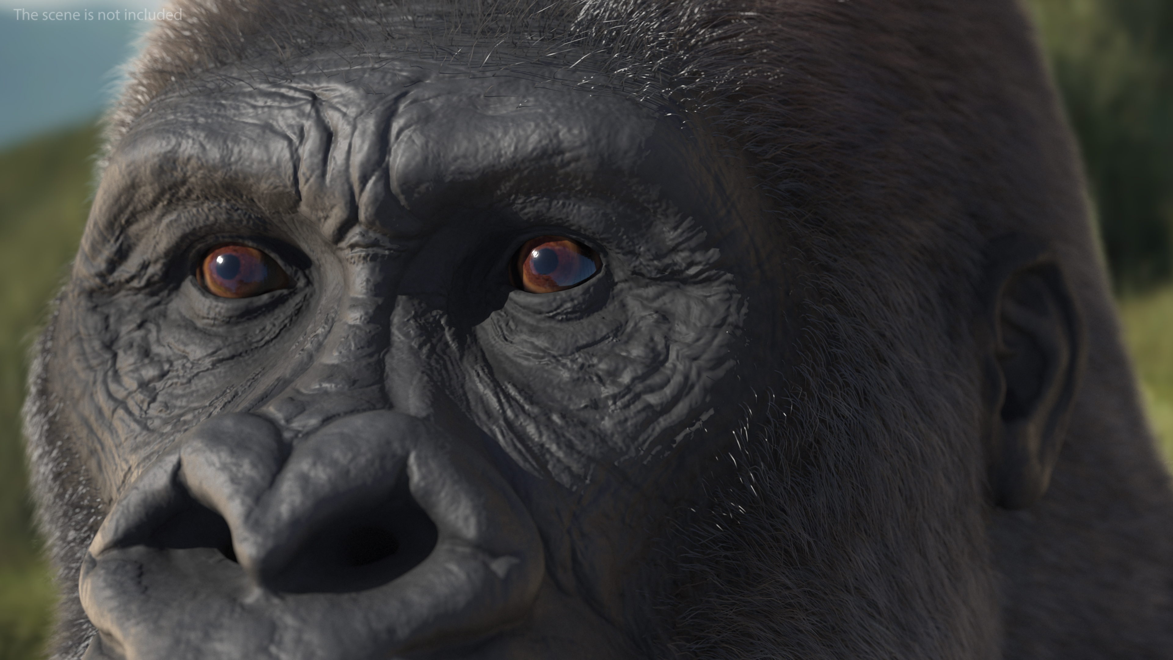 3D model Roaring Gorilla Fur Animated Rigged