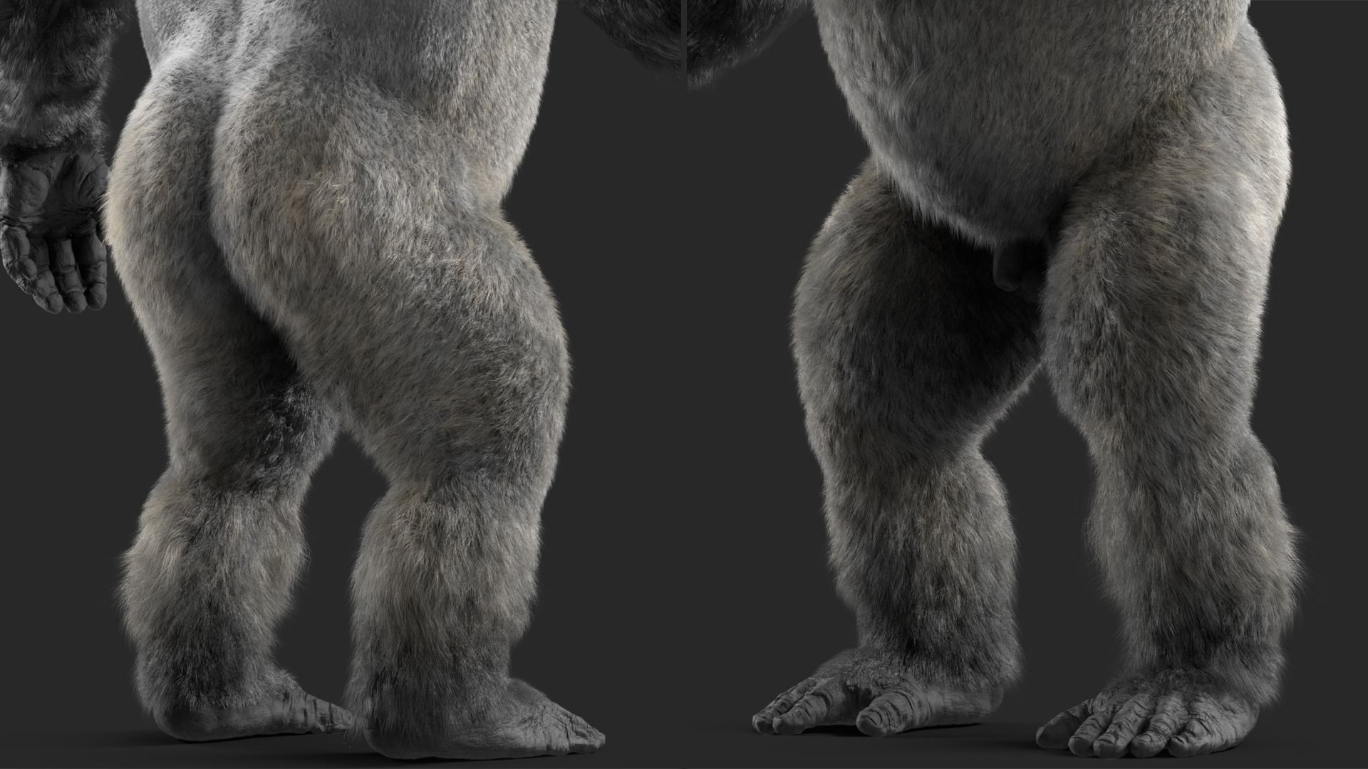 3D model Roaring Gorilla Fur Animated Rigged