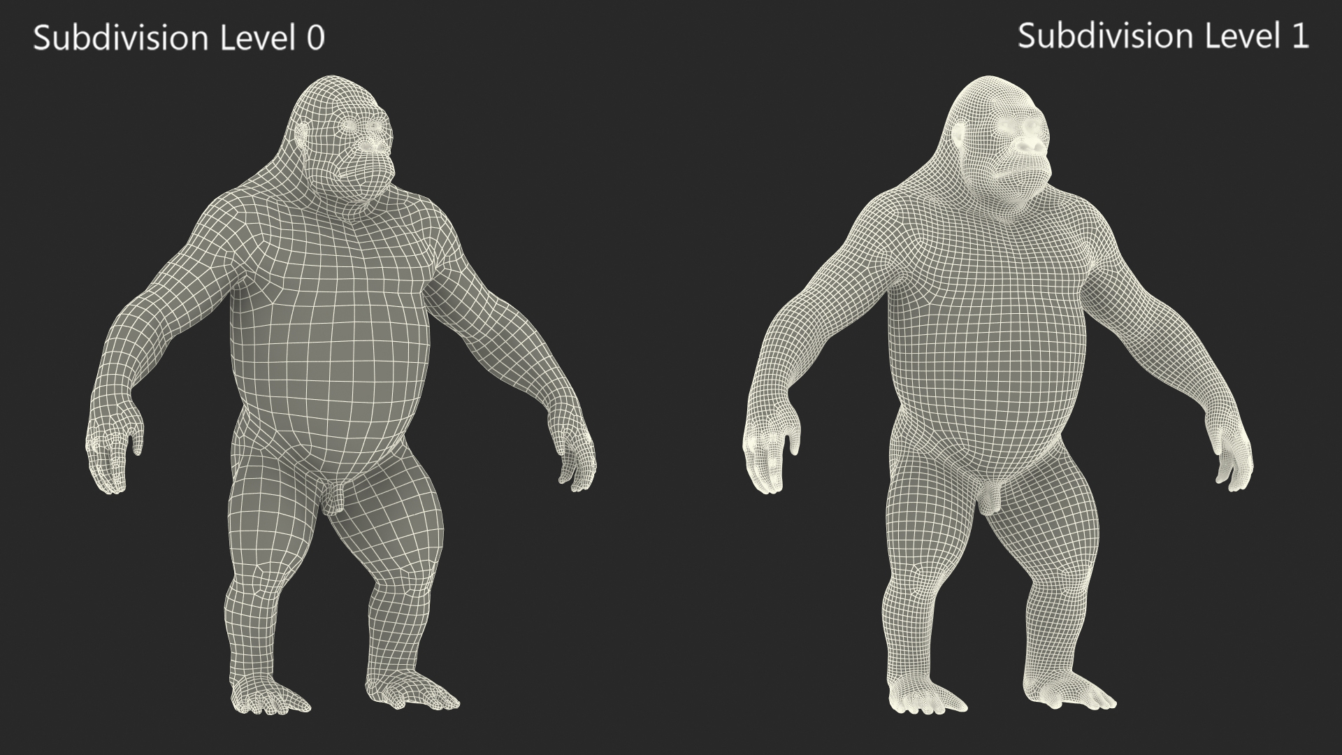 3D model Roaring Gorilla Fur Animated Rigged