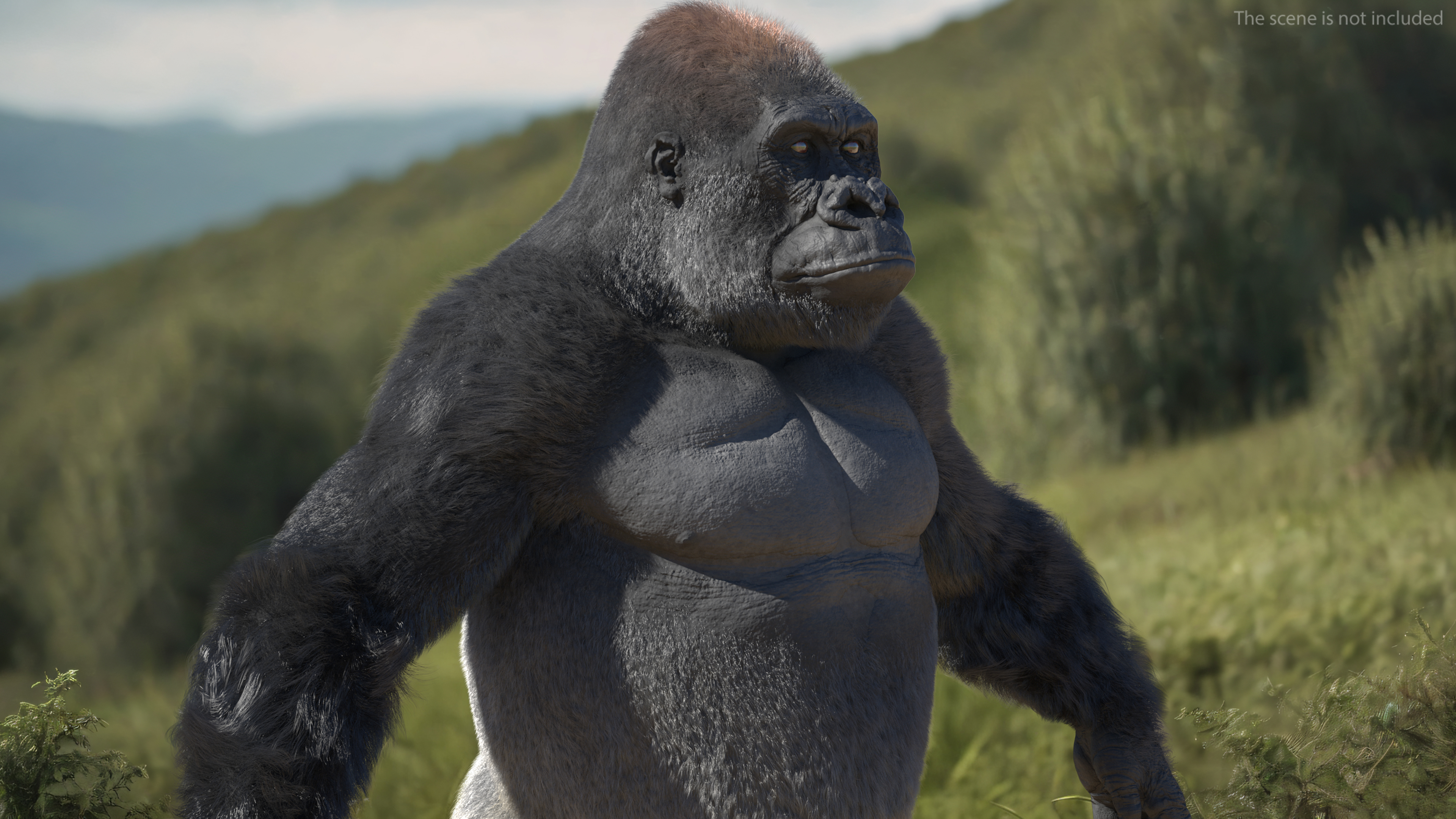 3D model Roaring Gorilla Fur Animated Rigged