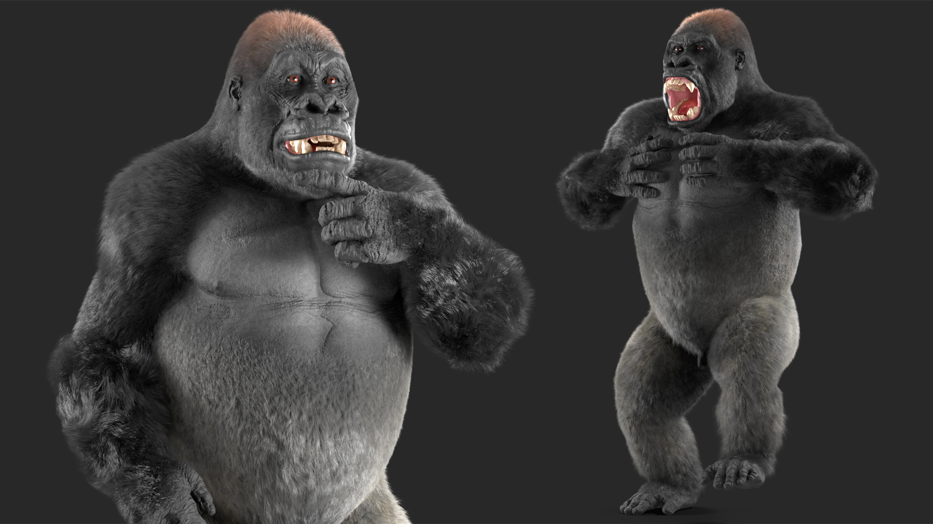 3D model Roaring Gorilla Fur Animated Rigged