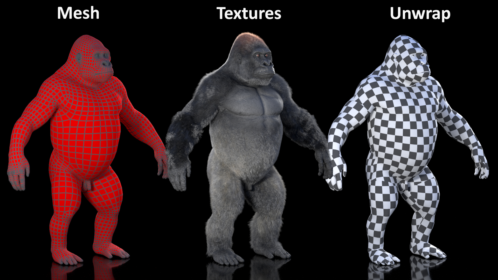 3D model Roaring Gorilla Fur Animated Rigged